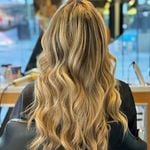 Discover Persian Zola – Top North Vancouver in Vancouver