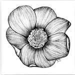 Discover Persian LineArt〰️byB – Top Art in Vancouver