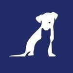 Discover Persian Beach Avenue Animal Hospital – Top Vancouver in Vancouver