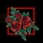 Discover Persian Red Rose Films – Top Photographer & Videographer in Vancouver