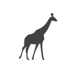 Discover Persian The Giraffes Art School – Top North Vancouver in Vancouver