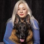 Discover Persian Farzaneh Farzin – Top North Vancouver in Vancouver