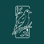 Discover Persian 𝗥𝗮𝗶𝗻 𝗔𝗿𝘁 𝗖𝗼𝗹𝗹𝗲𝗰𝘁𝗶𝗼𝗻 – Top Art in Vancouver