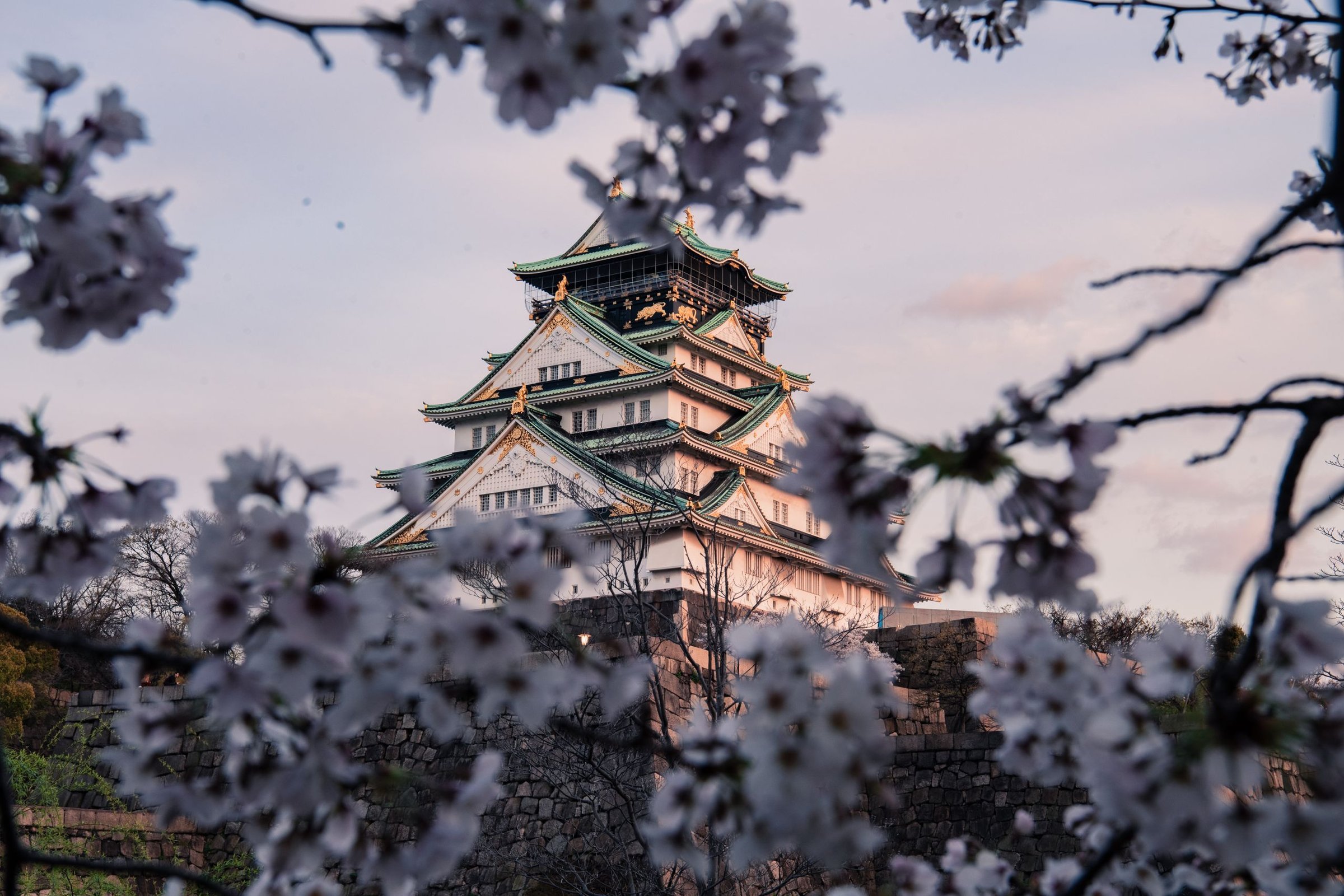musim semi di Jepang