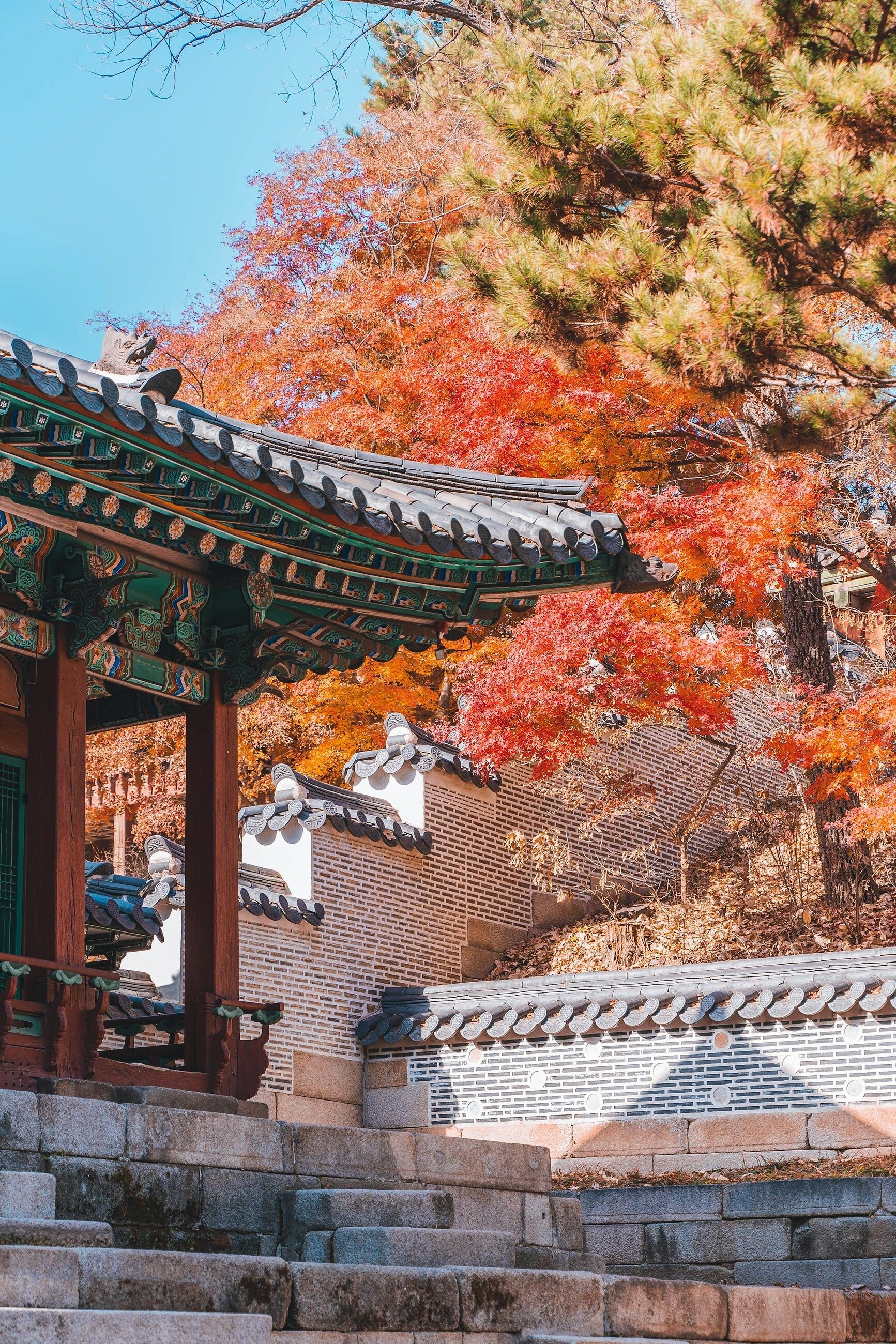 Musim gugur Korea, paviliun hanok & maple