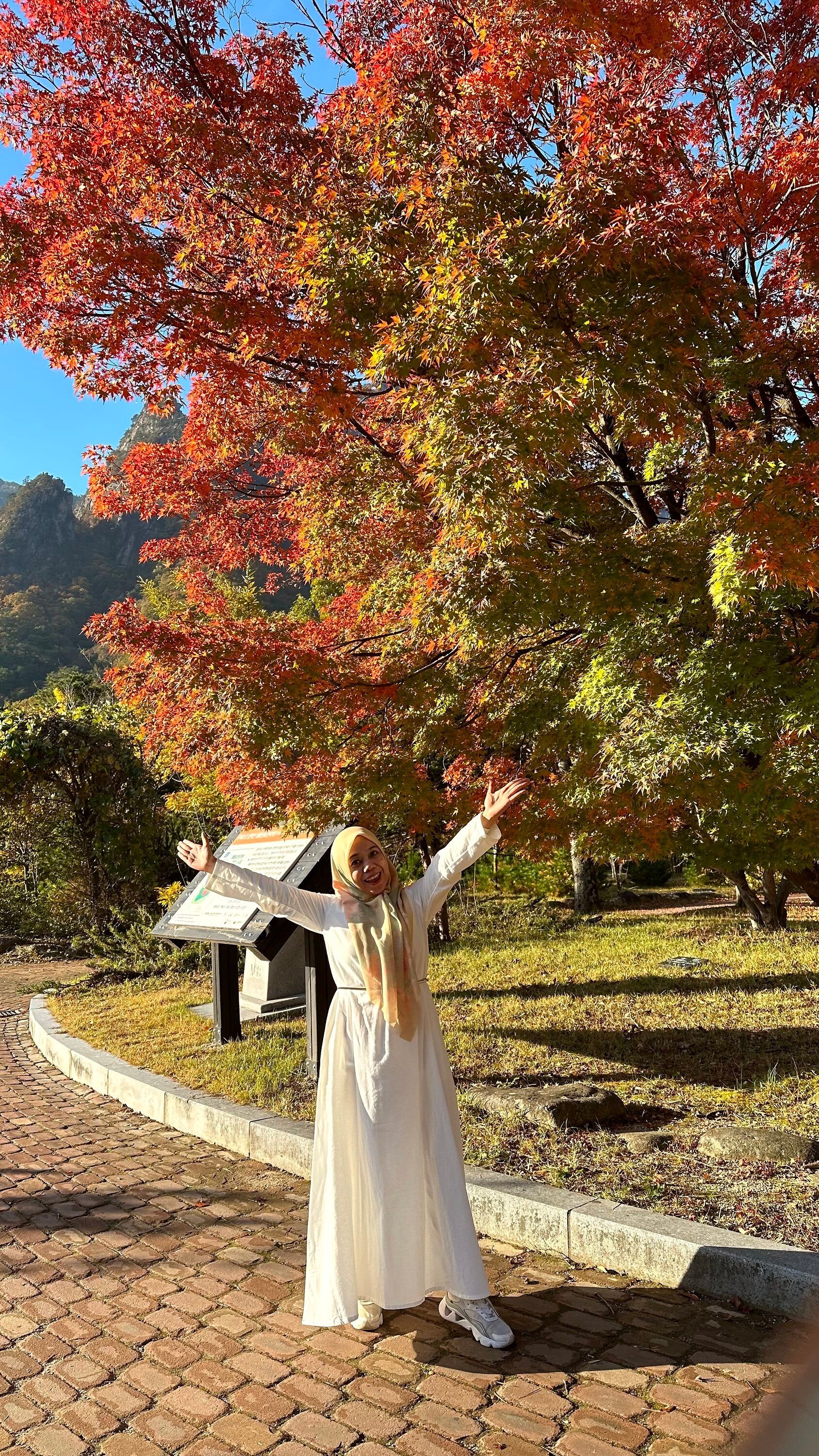 Tour Korea Autumn: Di antara maple musim gugur