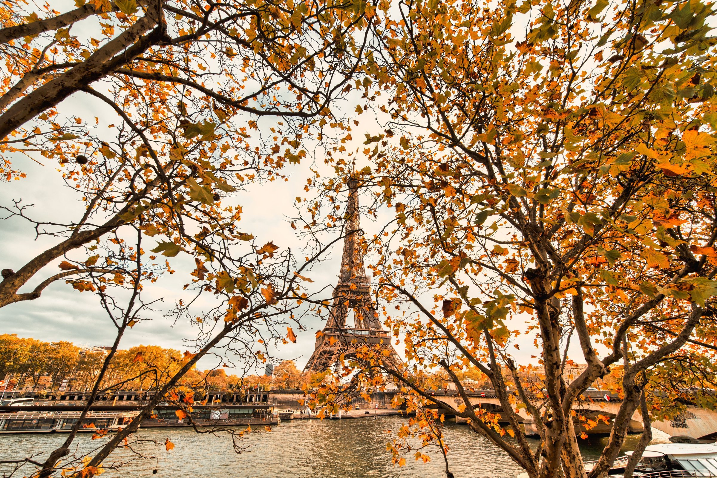 Menara Eiffel Paris dengan pepohonan bernuansa musim gugur.