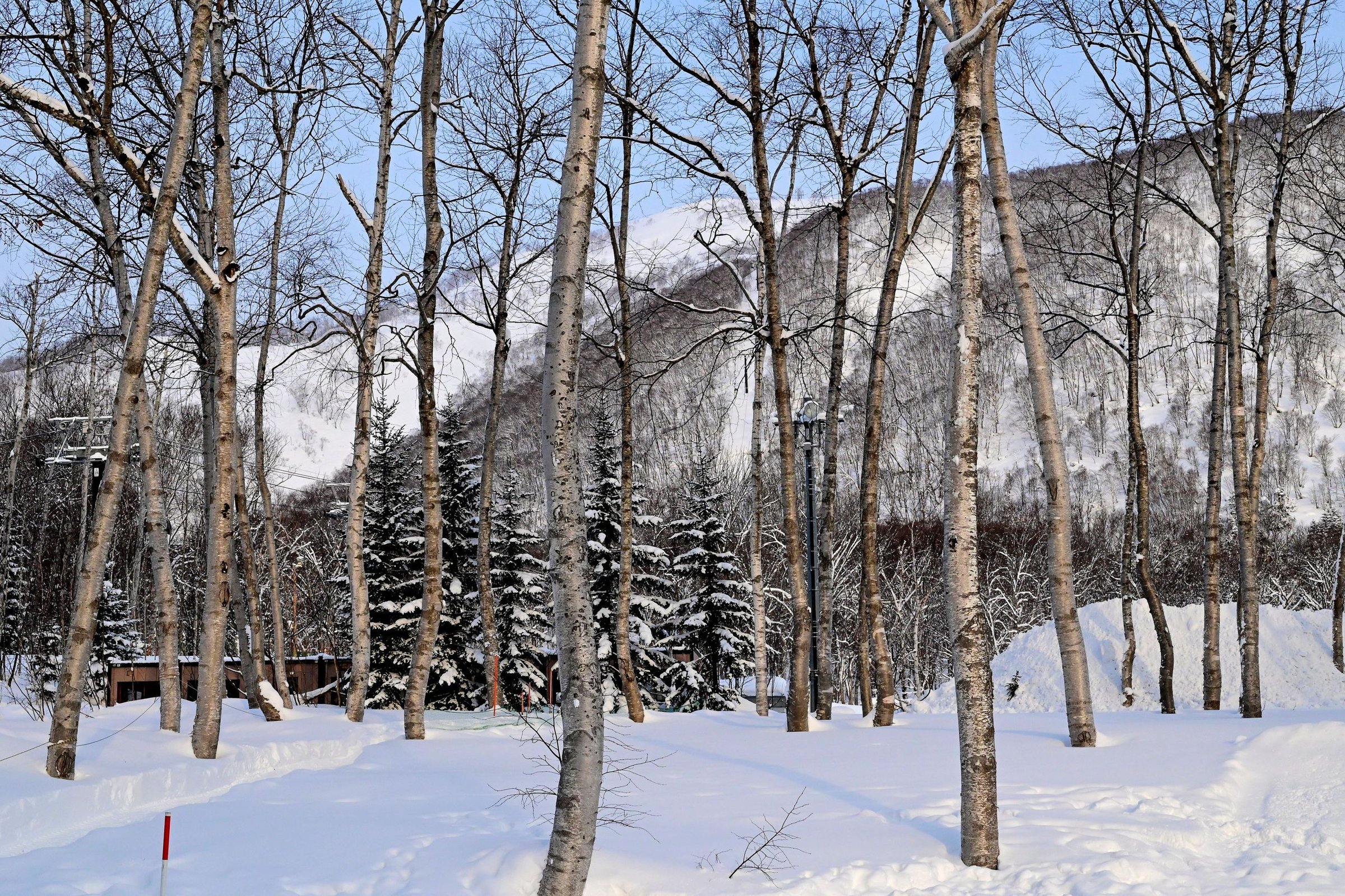 Pemandangan Hokkaido, Jepang
