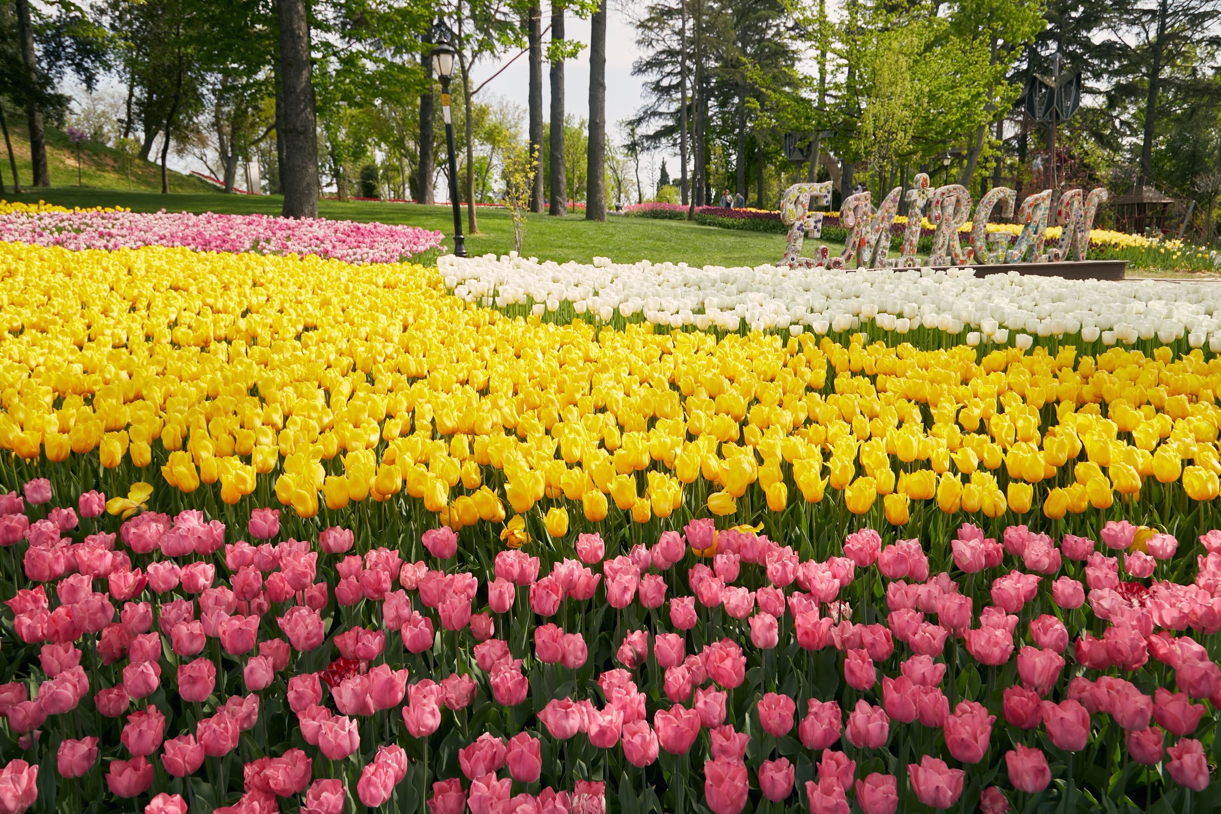 Hamparan tulip warna-warni di Taman Emirgan Istanbul saat musim semi