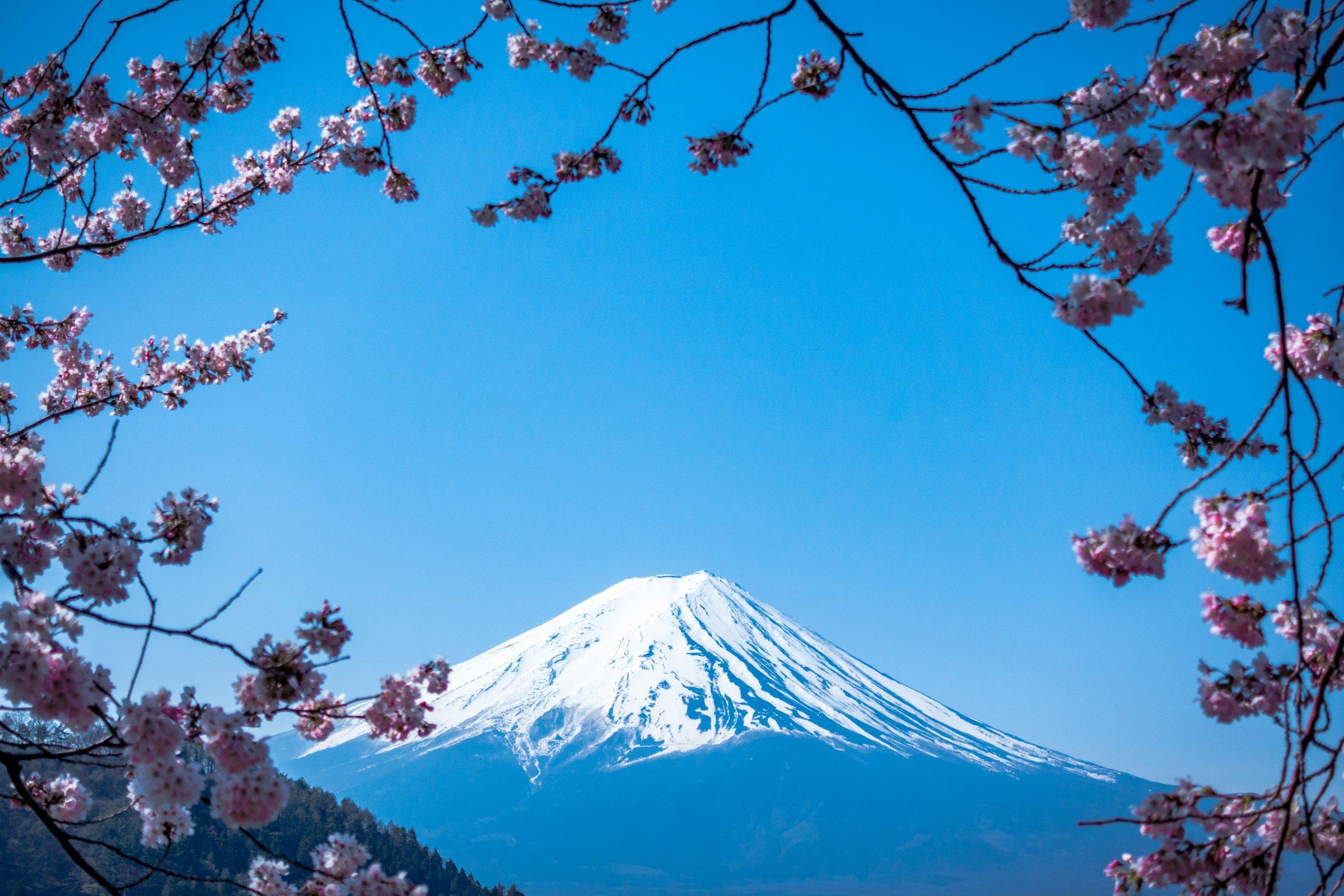 Mt Fuji dari tepi danau Kawaguchi saat musim gugur