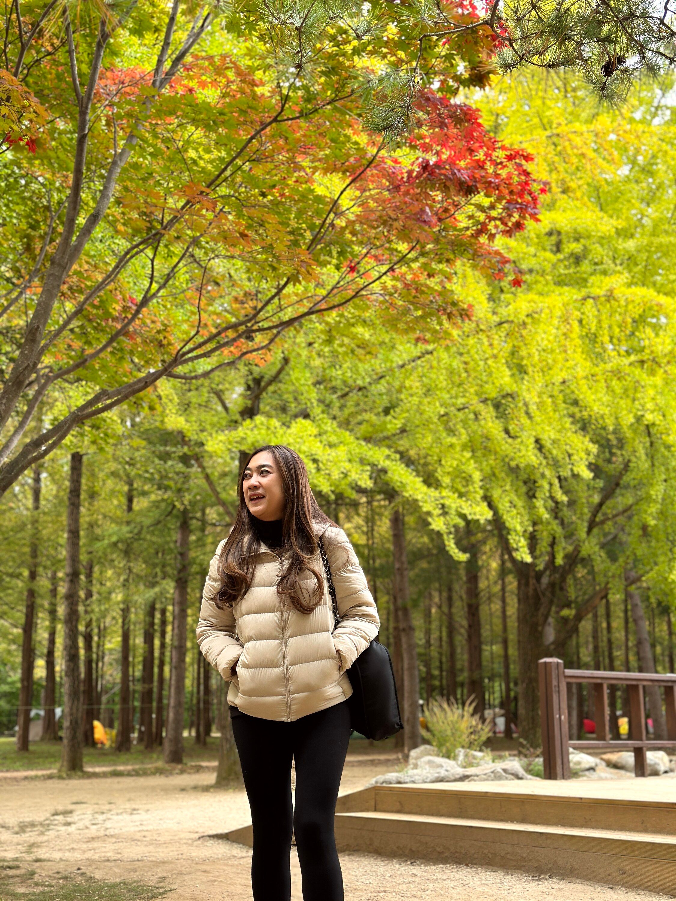 Tour Korea Autumn: Menyusuri hutan musim gugur