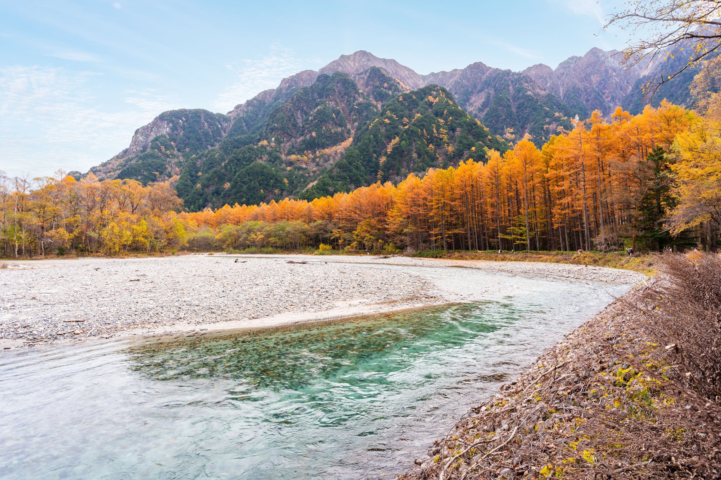 Sungai Azusa berwarna toska di Kamikochi diapit hutan larch keemasan musim gugur