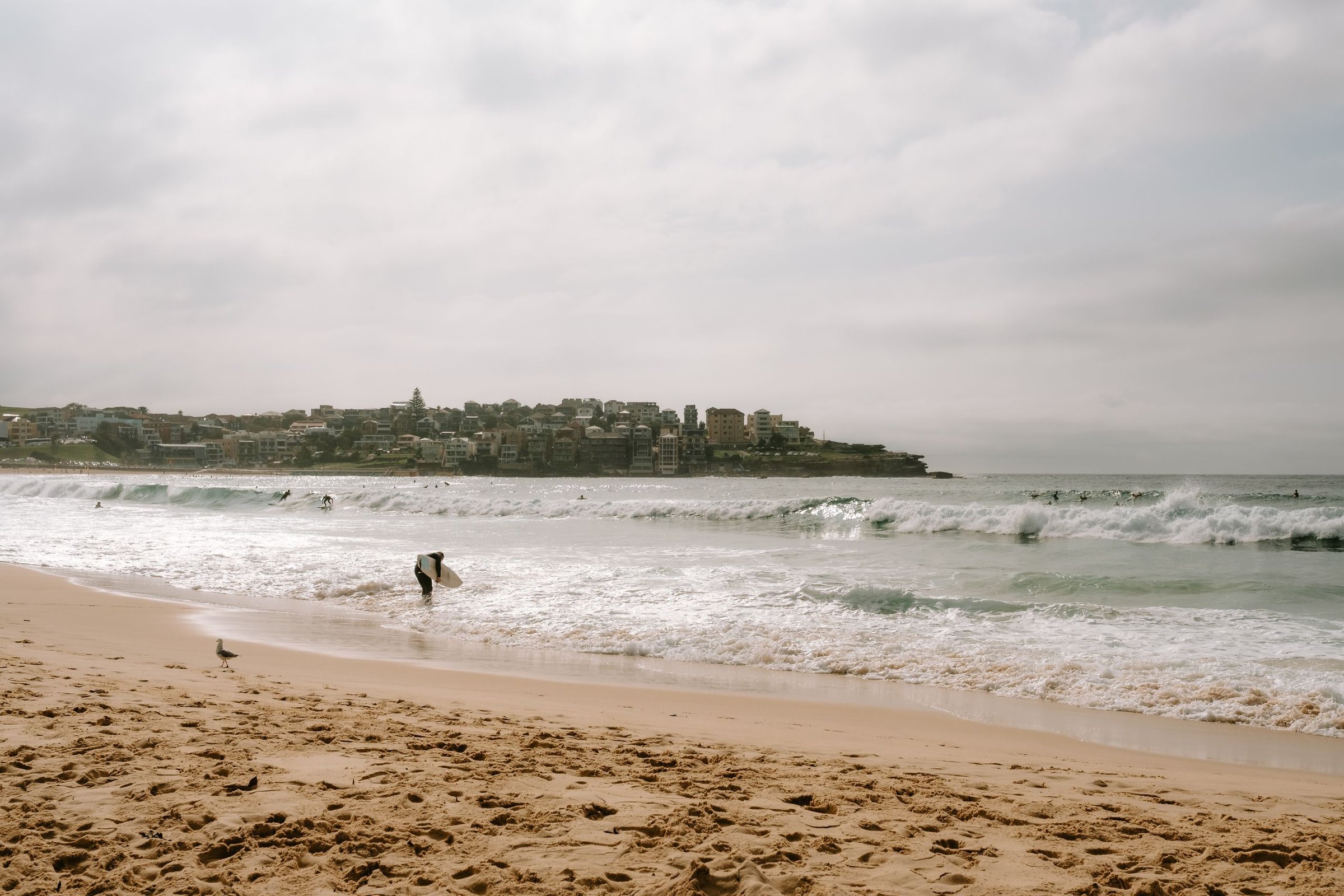 Peselancar di pantai Bondi Sydney