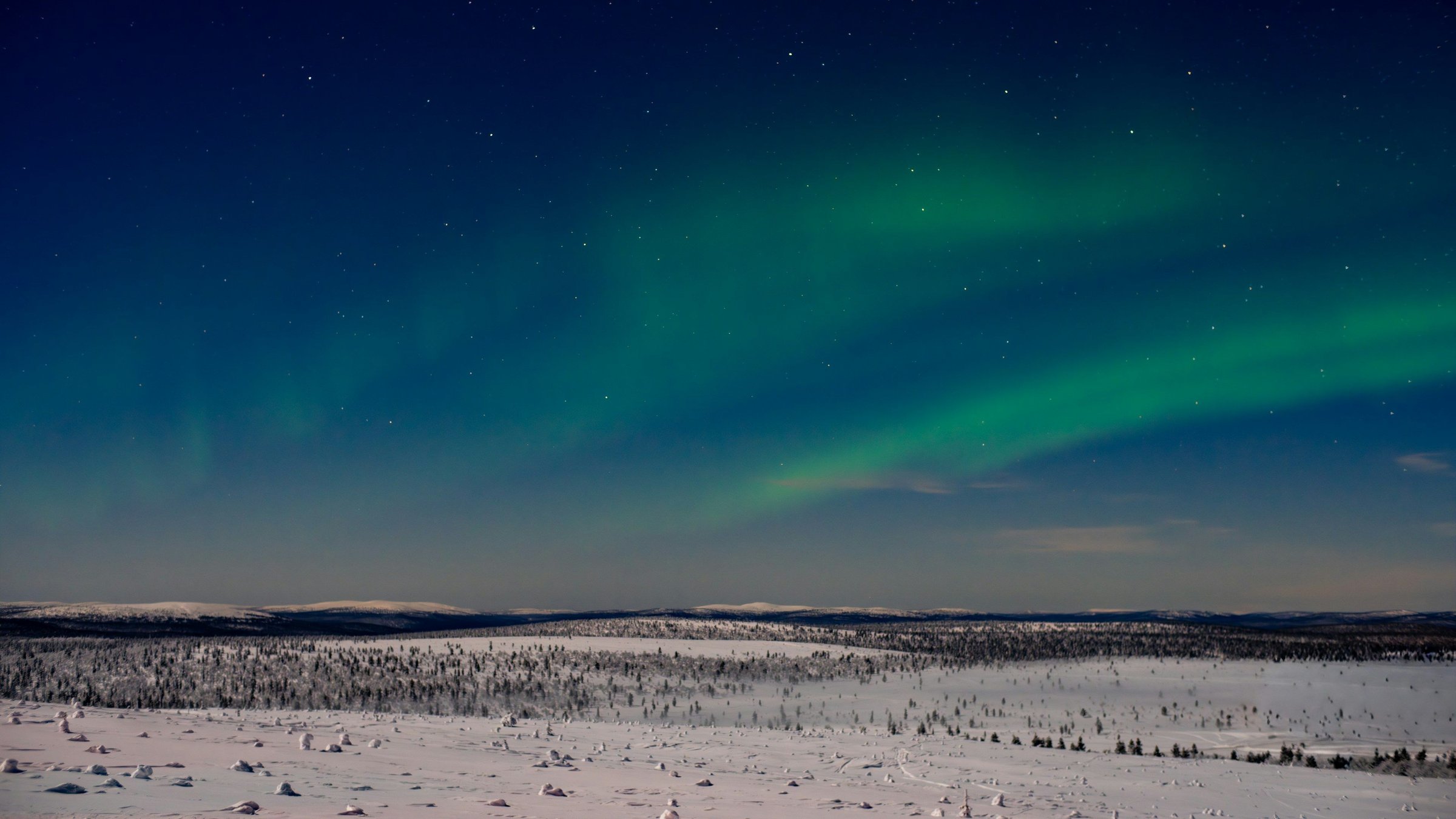 Aurora borealis hijau membentang di atas hutan taiga bersalju di Lapland.