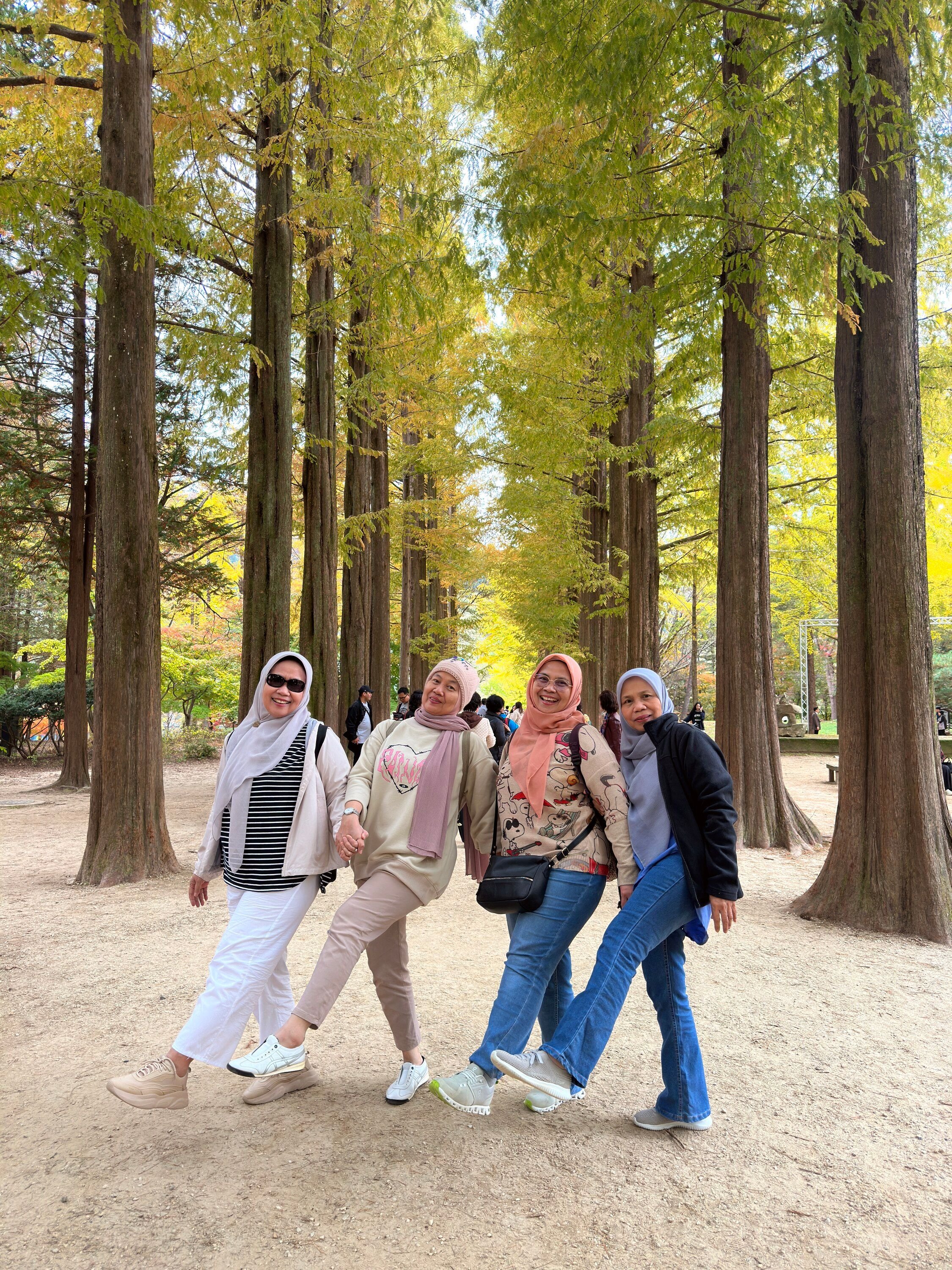 Tour Korea Autumn: Avenue pepohonan emas