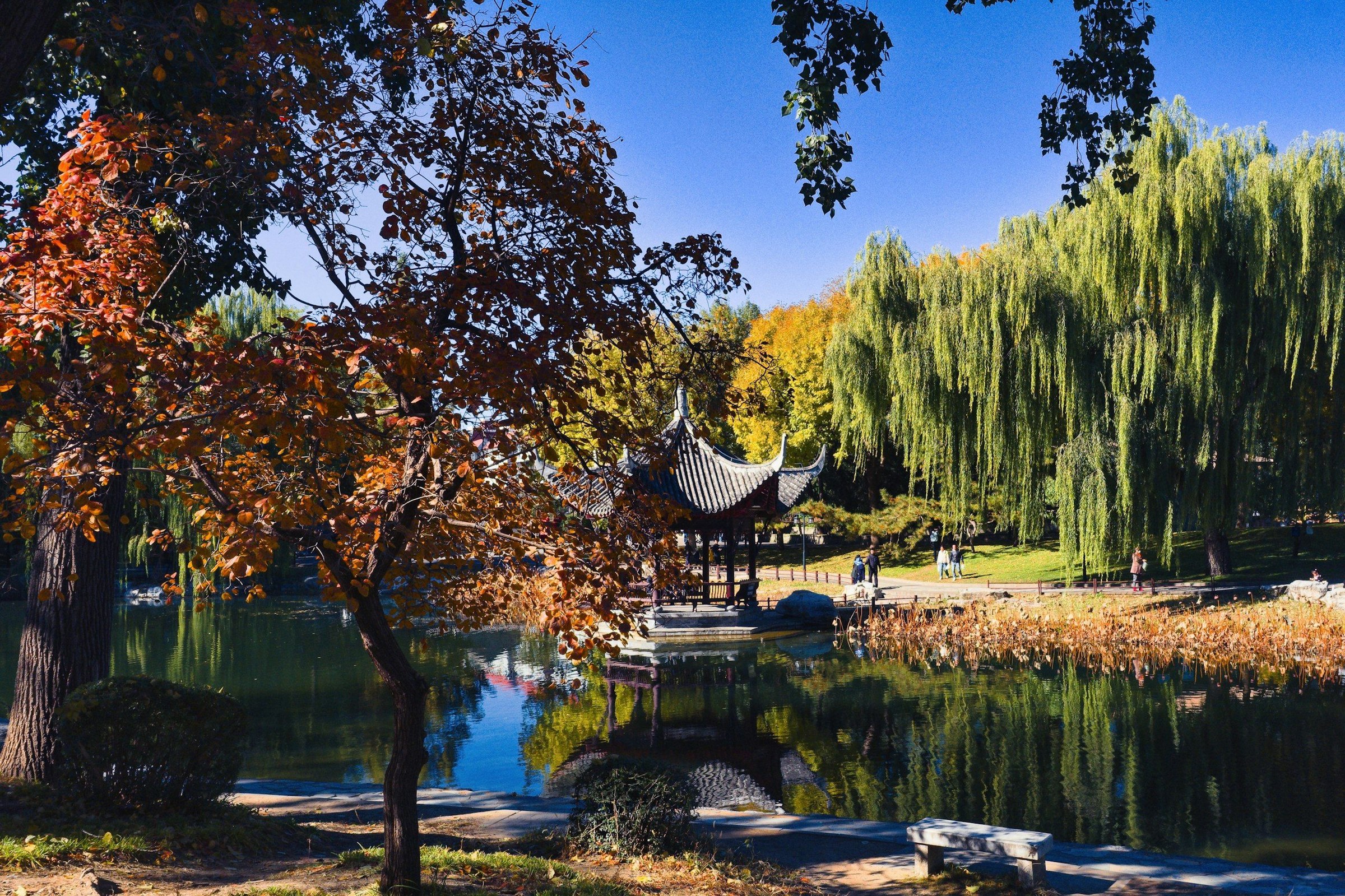 Panorama: musim gugur di Beijing, China