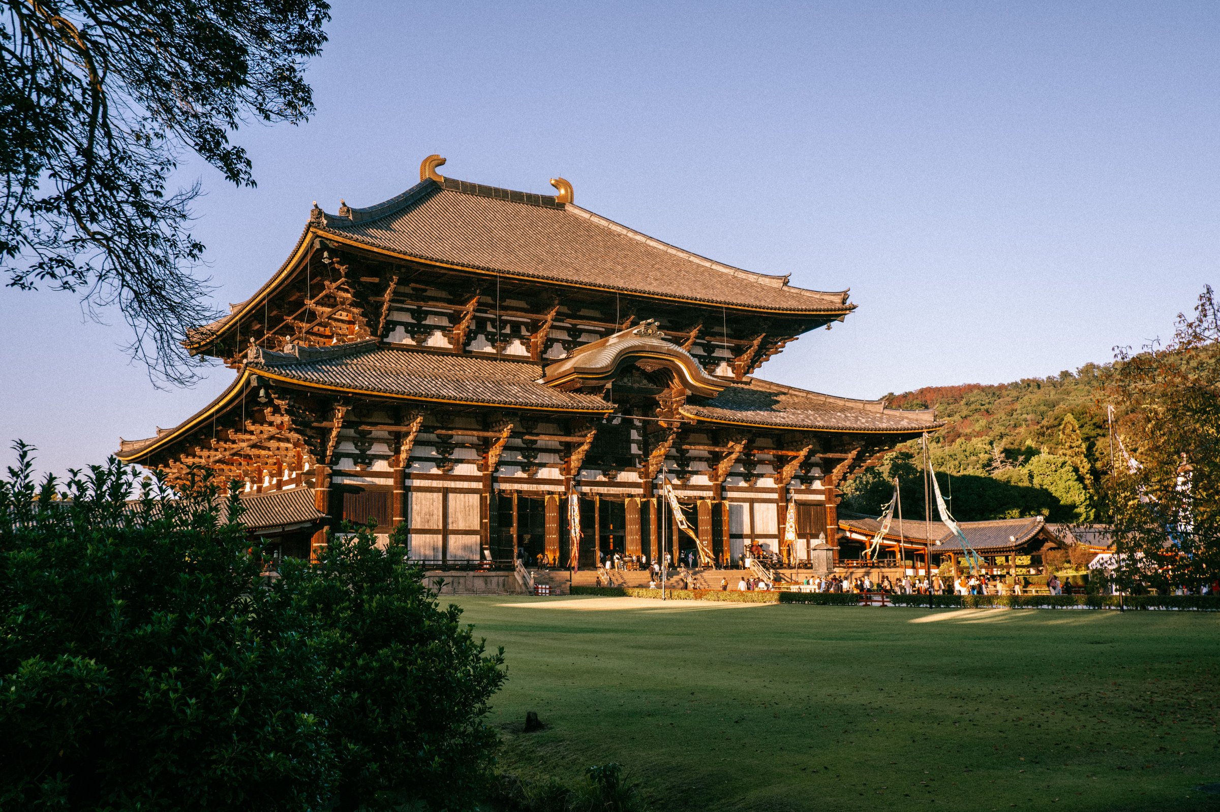 Kuil Todaiji Nara dengan atap kayu megah bermandi cahaya keemasan sore hari