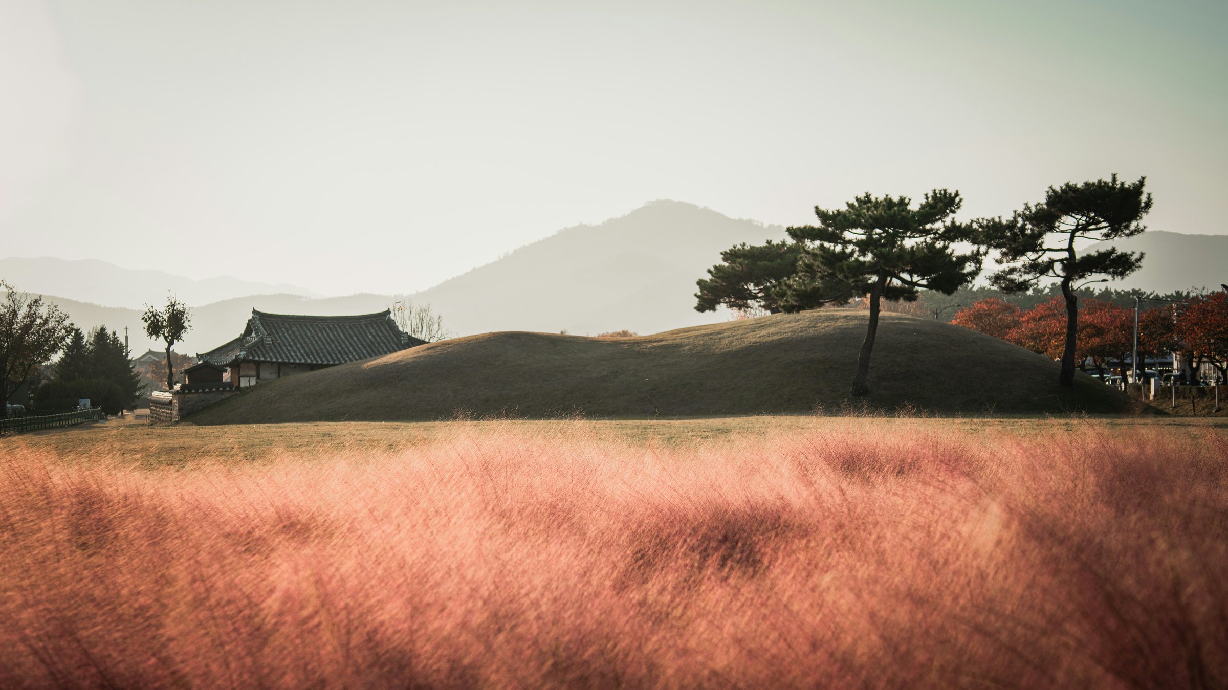 Gyeongju ancient tombs