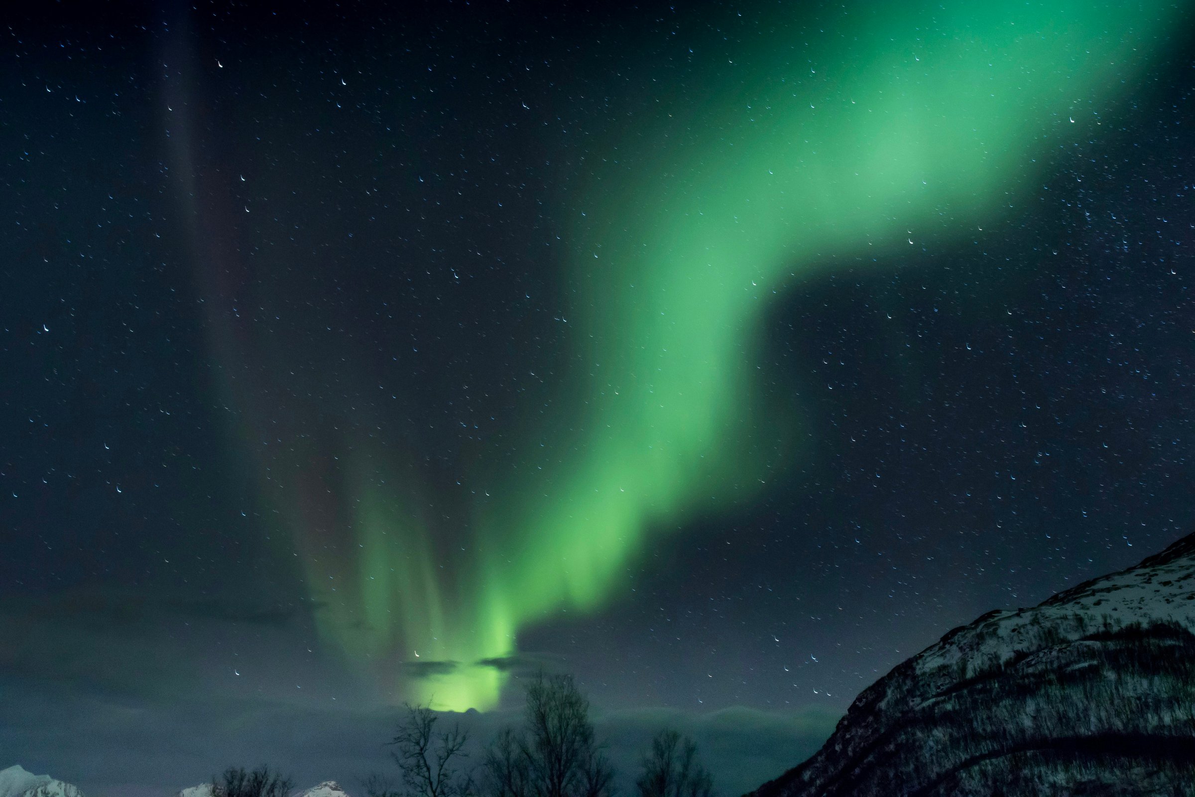 Aurora borealis hijau menyala di langit malam berbintang di atas pegunungan bersalju Norwegia