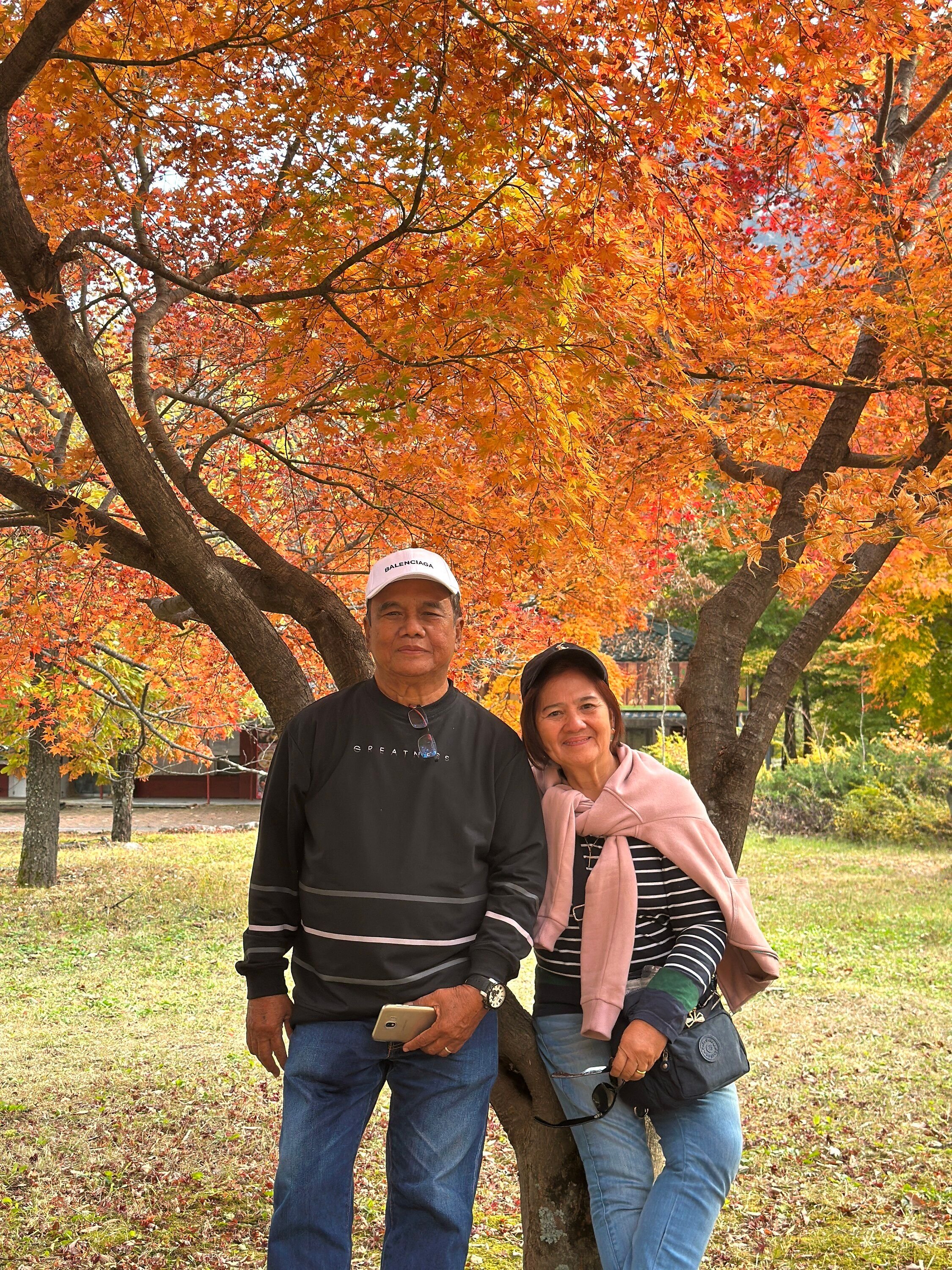 Tour Korea Autumn: Maple merah musim gugur
