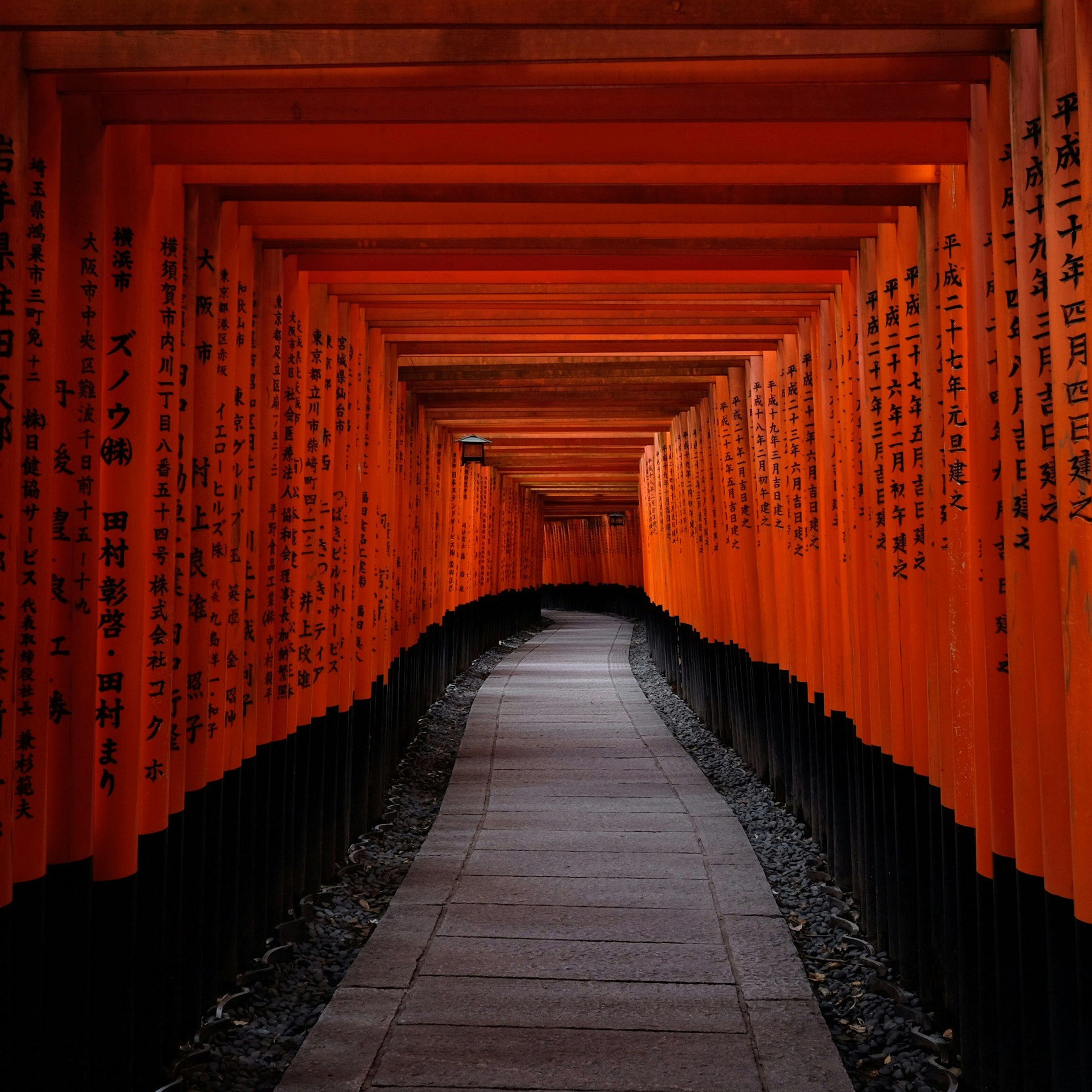 Lorong torii gate oranye-merah ikonik di Fushimi Inari Taisha, Kyoto, dengan jalur batu di tengah dan tulisan kanji pada tiang-tiangnya