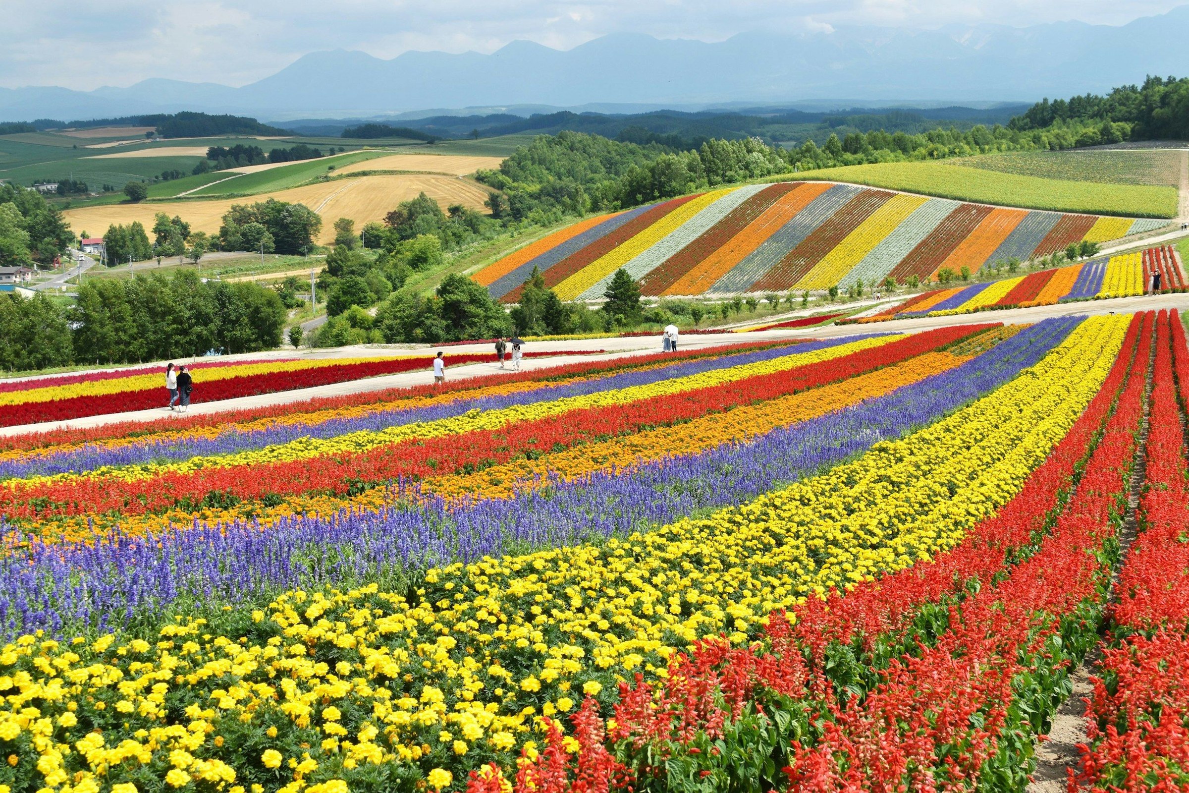 Panorama: Pemandangan Hokkaido, Jepang