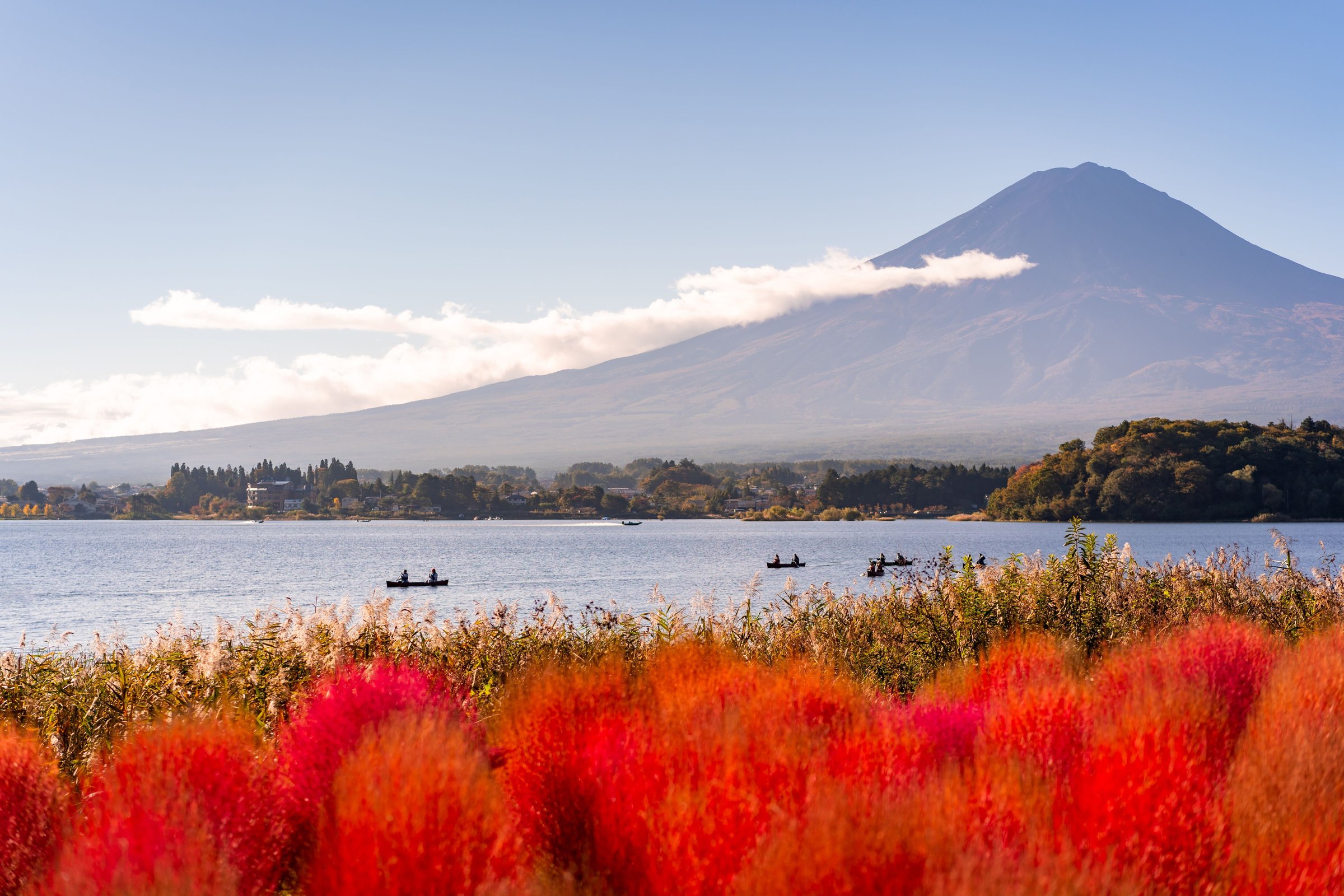 Gunung Fuji di seberang Danau Kawaguchi dengan hamparan semak kochia merah di tepian
