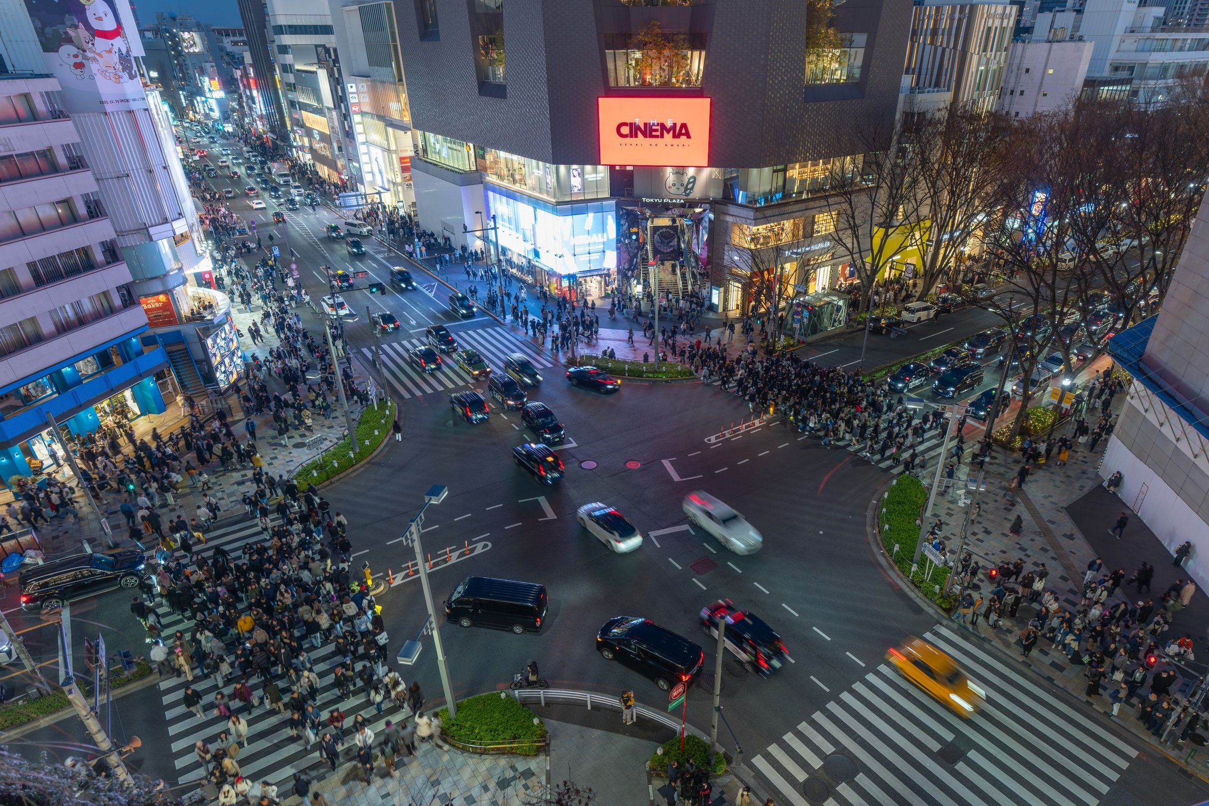 Shibuya Crossing Tokyo yang ramai di malam hari