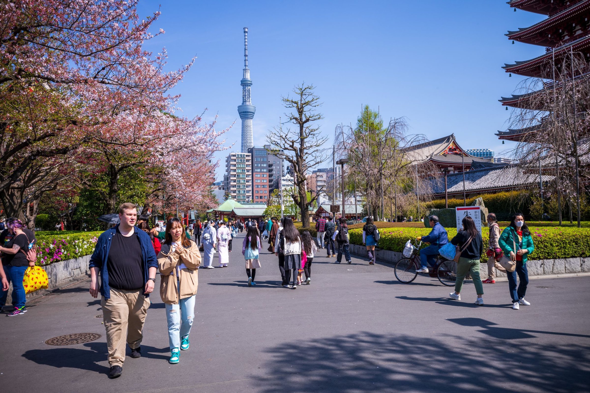 musim semi di Jepang