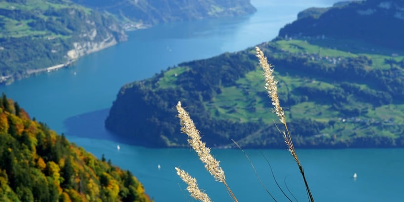 Danau Alpen Swiss berwarna biru dalam dengan lereng berhutan bernuansa musim gugur.