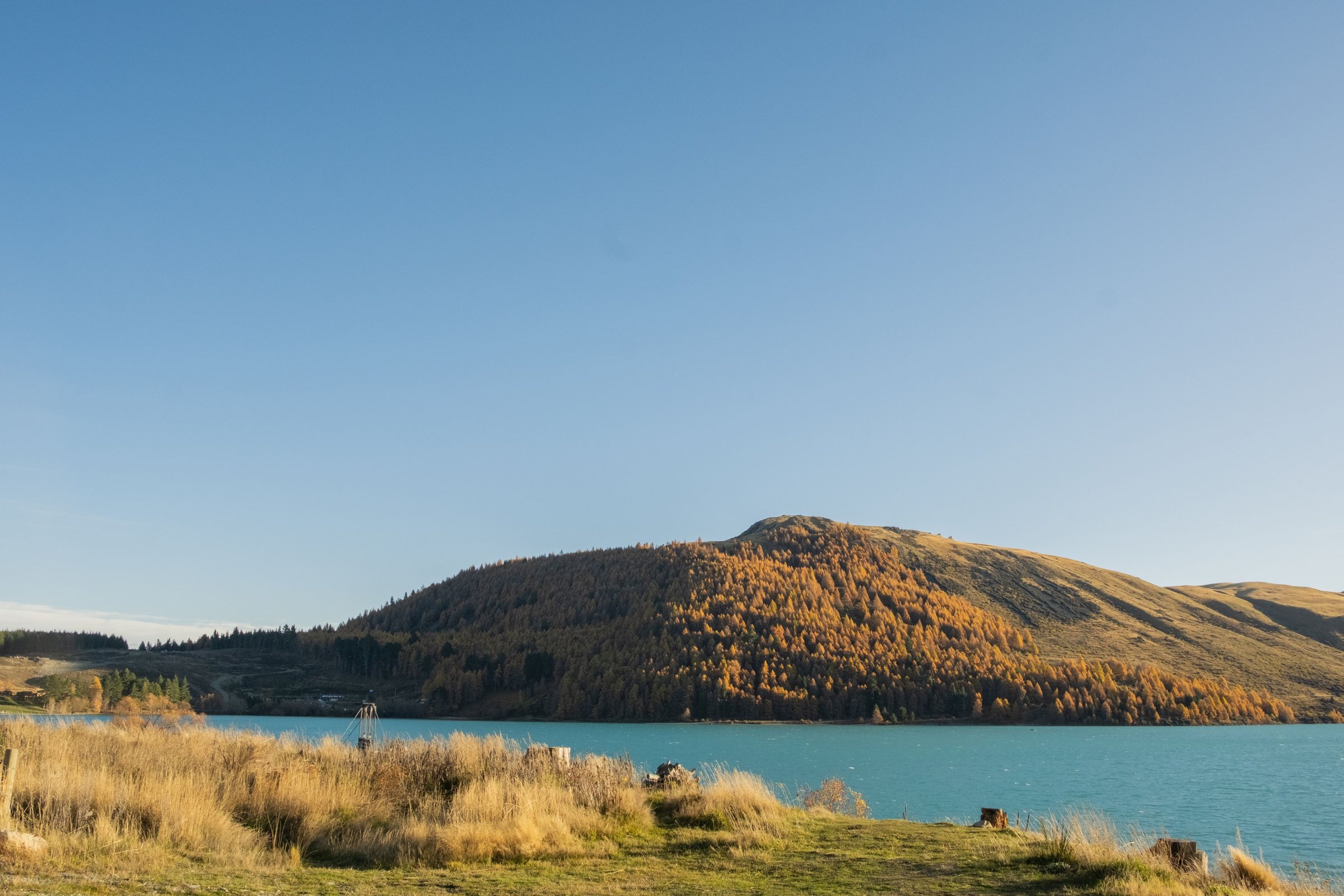 Danau Tekapo turquoise dengan bukit musim gugur