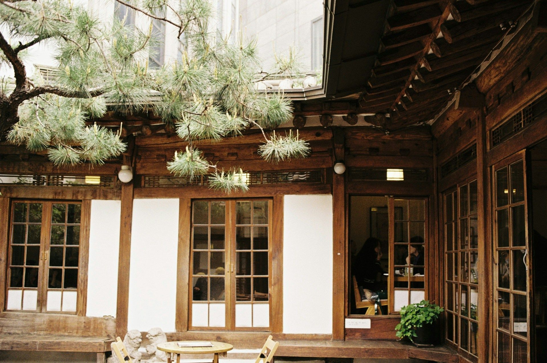 Teras dalam rumah teh tradisional di Insadong Seoul — struktur kayu hanok, dinding kertas putih, pohon pinus, pelanggan terlihat dari pintu kaca