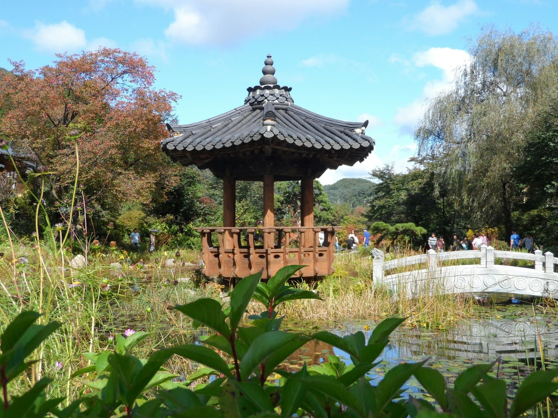 Lanskap Garden of Morning Calm Gapyeong dengan pohon mapel merah, jalur batu tradisional, dan kolam tenang berpadu warna musim gugur