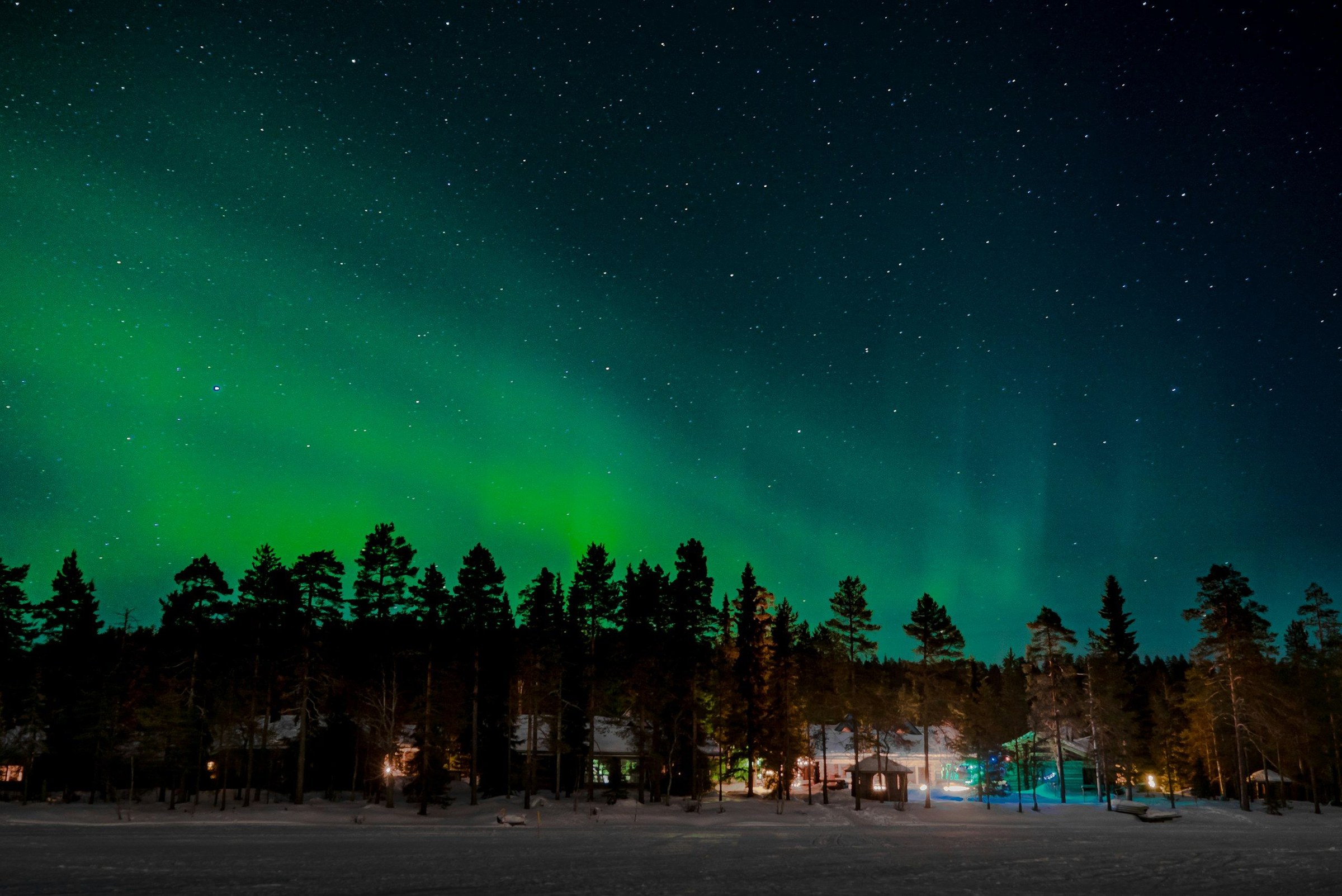 Aurora Borealis hijau di langit malam berbintang di atas hutan pinus dan kabin bersalju Lapland
