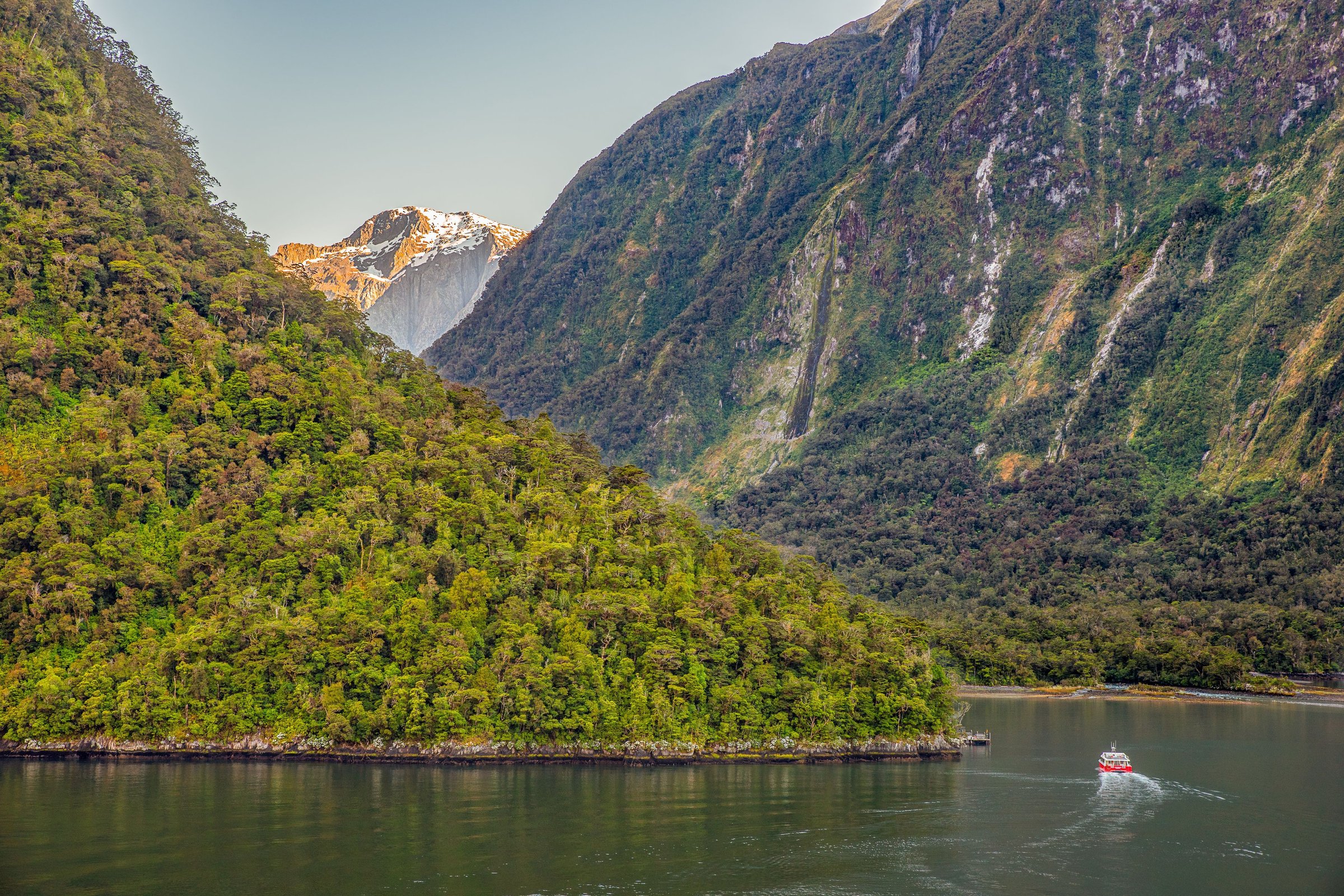 Fjord Milford Sound dengan kapal pesiar