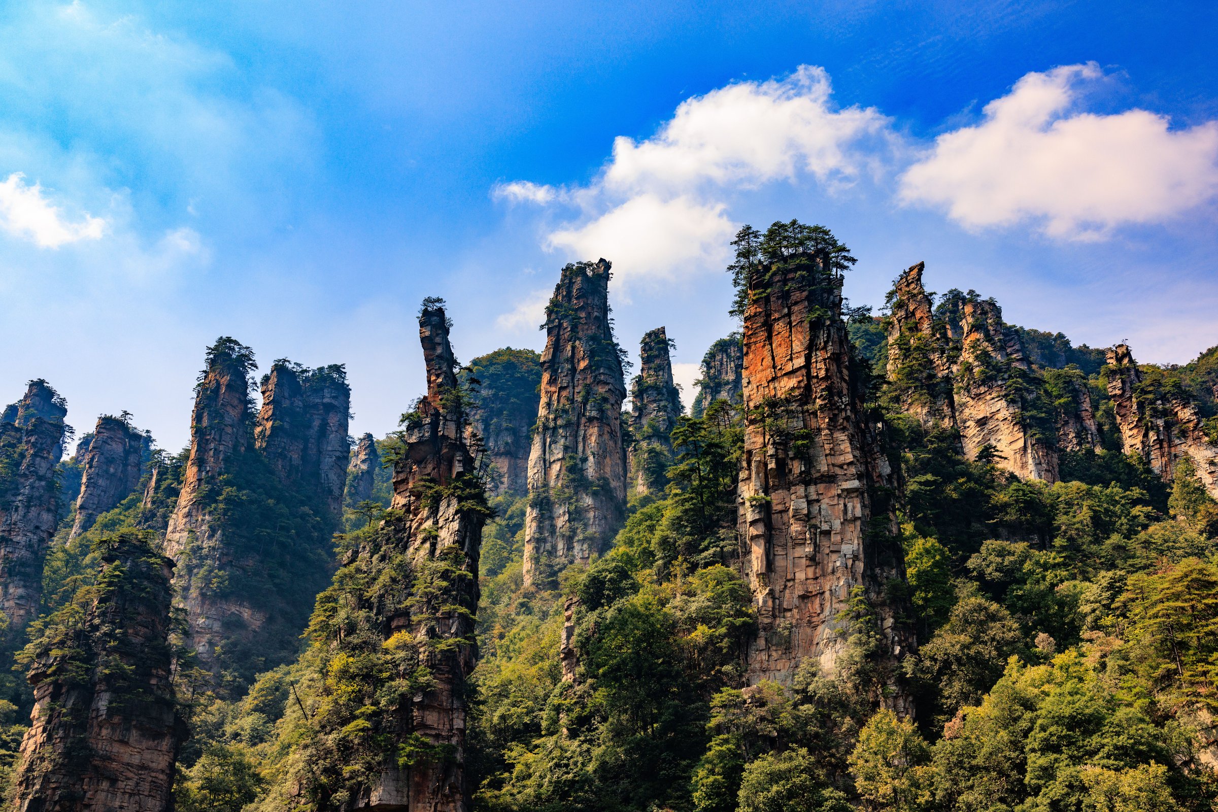 Pilar-pilar batu pasir raksasa Zhangjiajie menjulang di hutan dengan langit biru