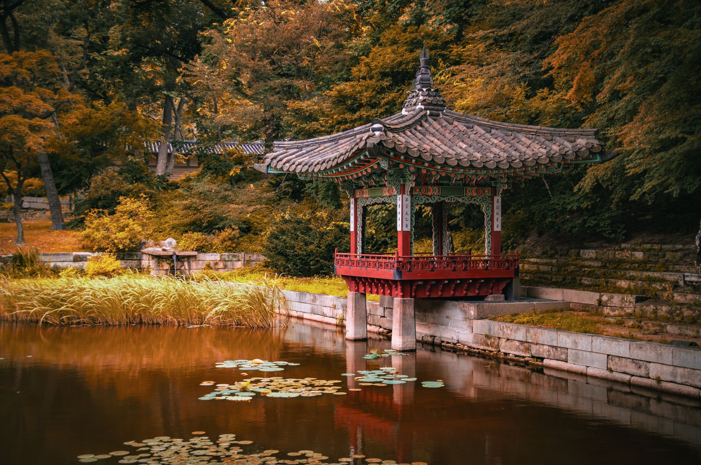 Paviliun tradisional Korea merah di atas kolam teratai dikelilingi dedaunan musim gugur