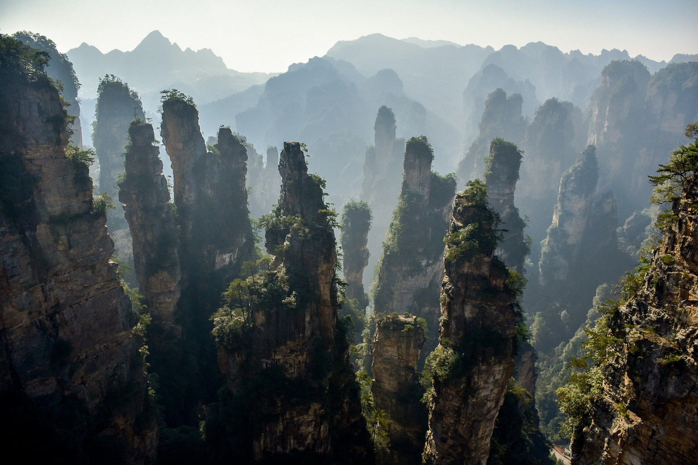 Pilar-pilar batu pasir menjulang berselimut hutan hijau dengan kabut dan cahaya keemasan di Zhangjiajie