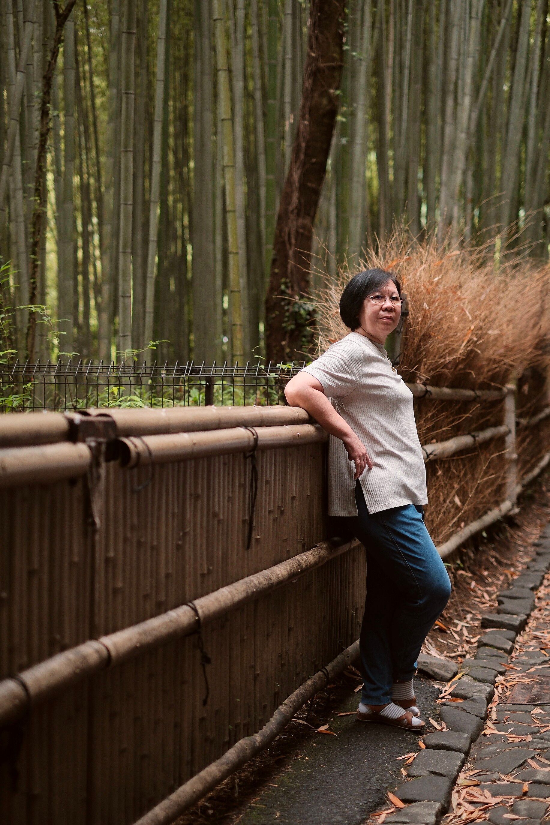 Traveler Avenir bersandar di pagar bambu, dikelilingi barisan pohon bambu tinggi Hutan Bambu Arashiyama, Kyoto