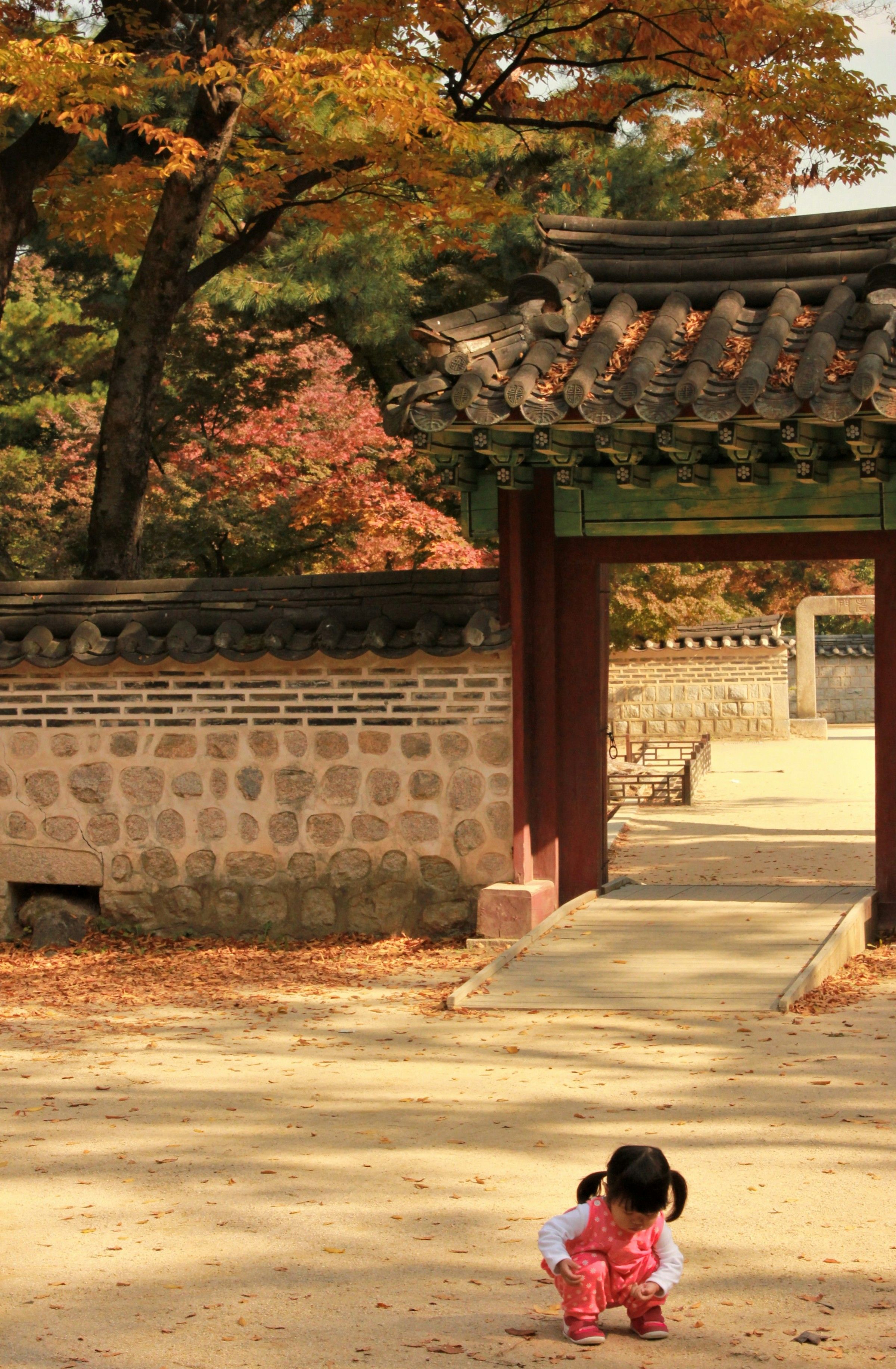 Arsitektur modern Seoul dengan pepohonan