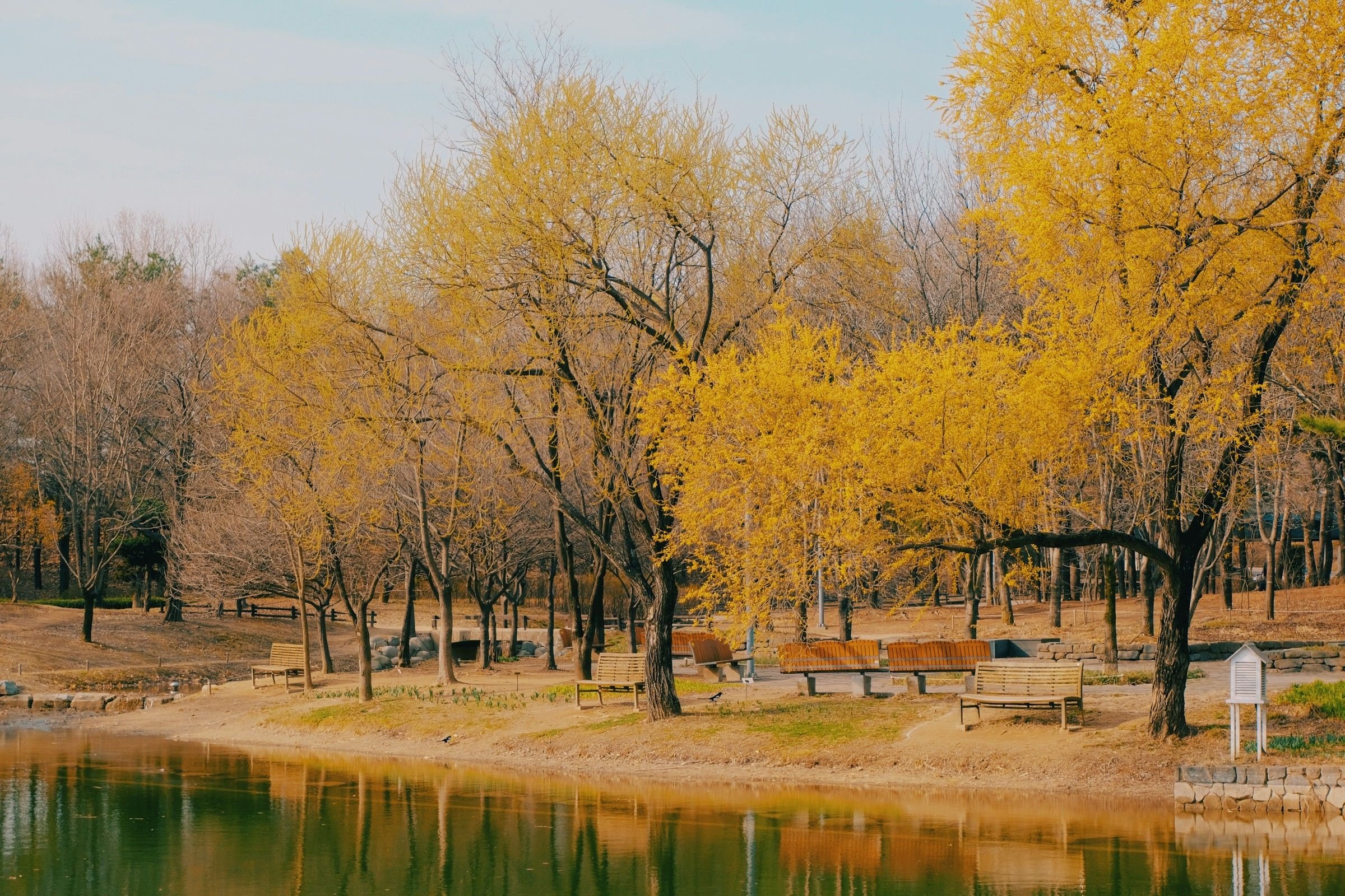 Garden of Morning Calm autumn landscape Korea