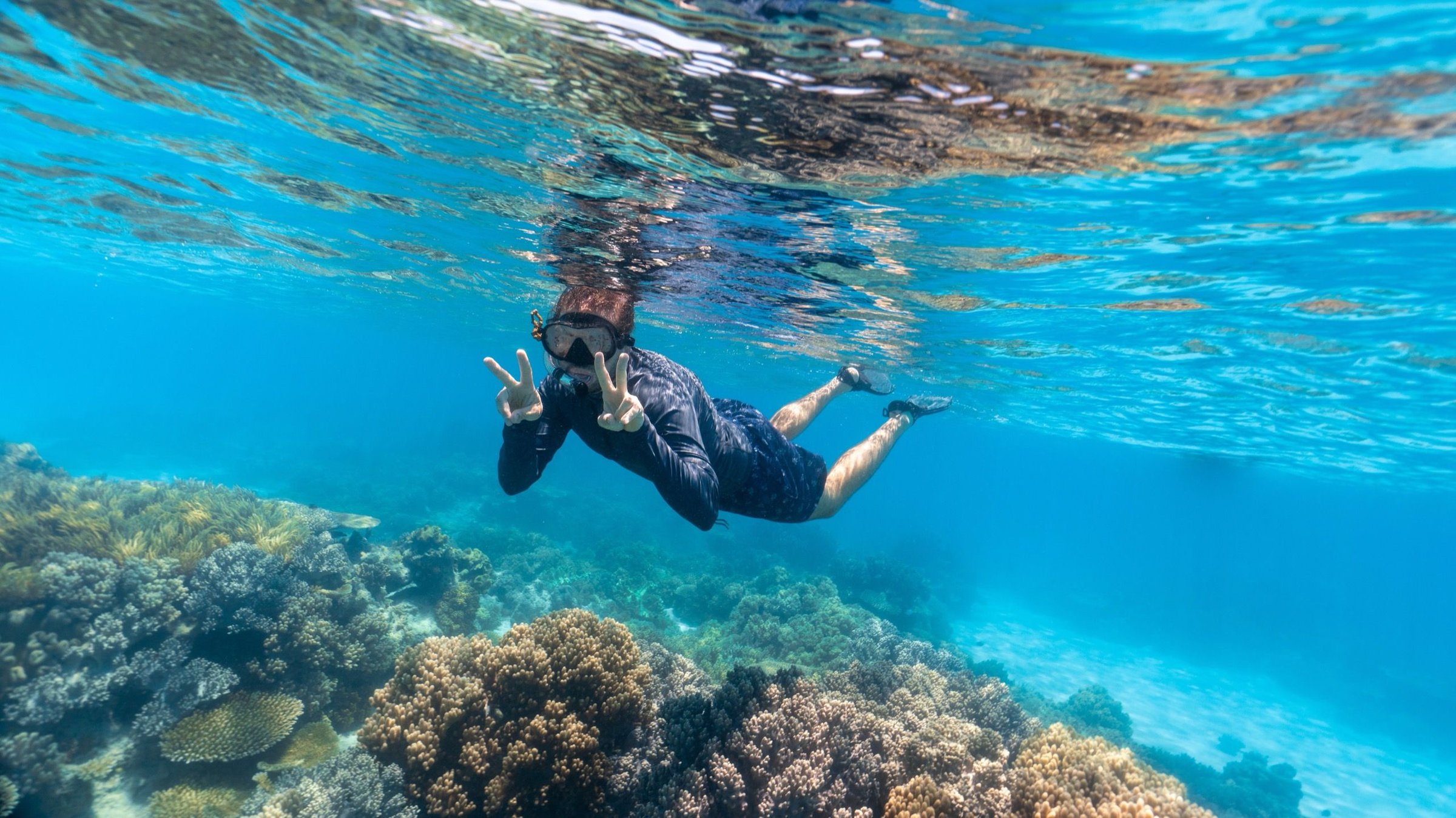 Penyelam snorkel melayang di atas terumbu karang Great Barrier Reef dengan air biru jernih