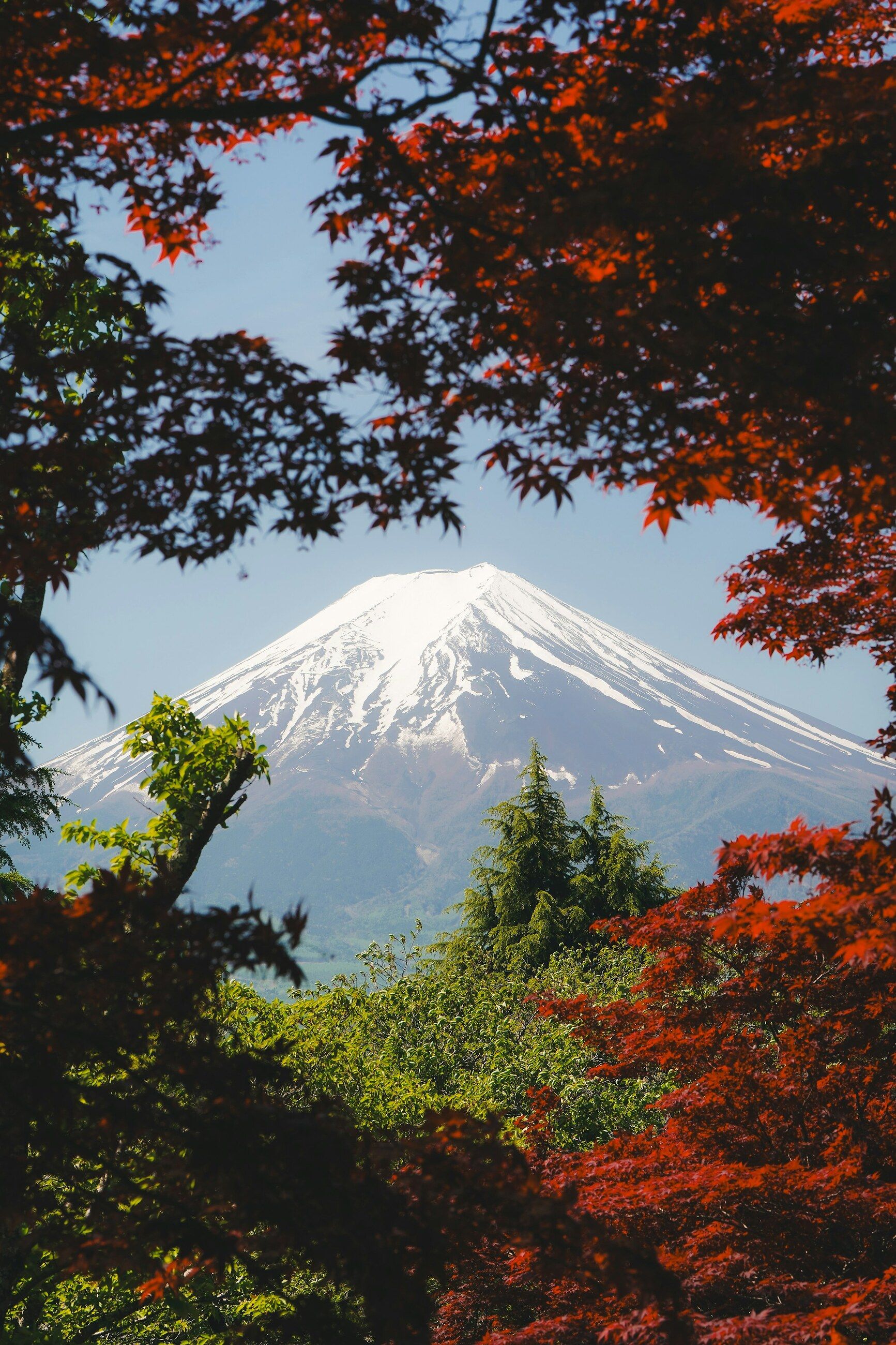 Gunung Fuji dengan dedaunan musim gugur