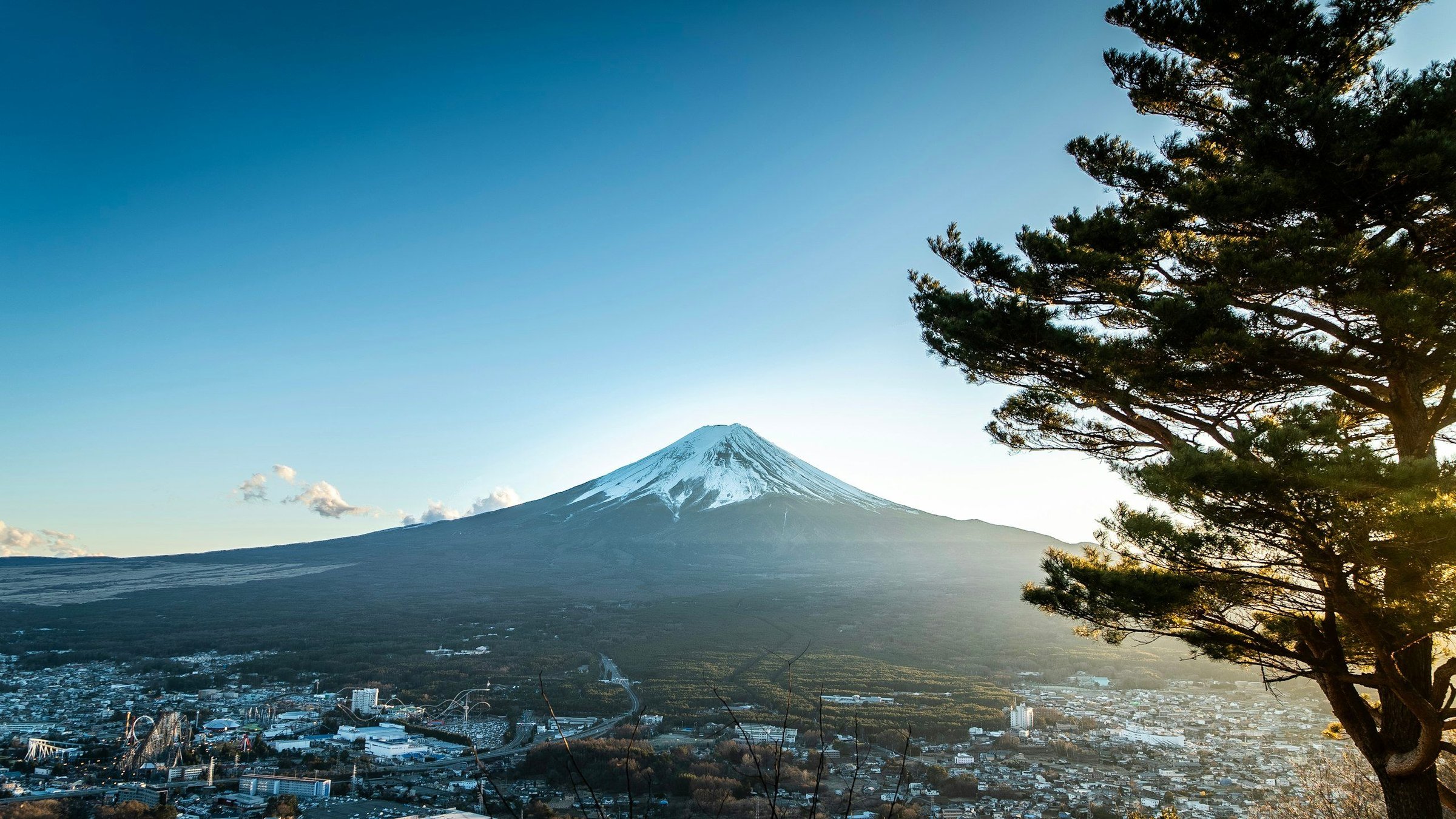 Gunung Fuji dengan puncak bersalju menjulang di atas kota dan pepohonan pinus di bawah langit biru cerah
