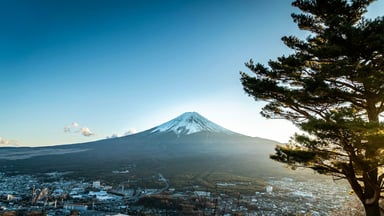 Gunung Fuji dengan puncak bersalju menjulang di atas kota dan pepohonan pinus di bawah langit biru cerah