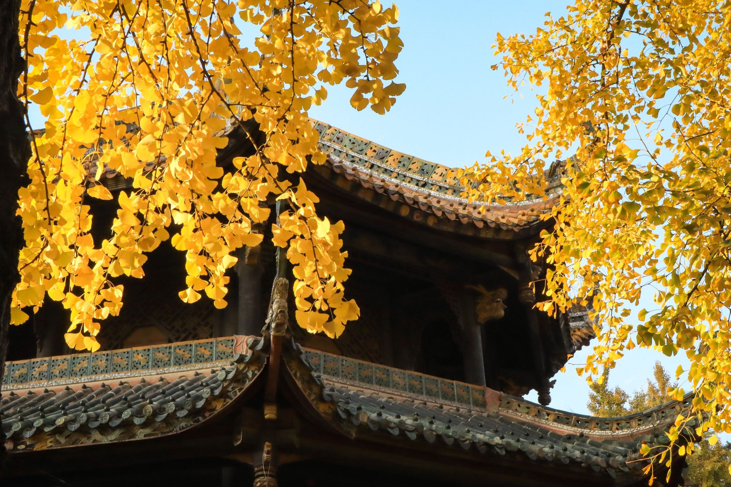 musim gugur di China