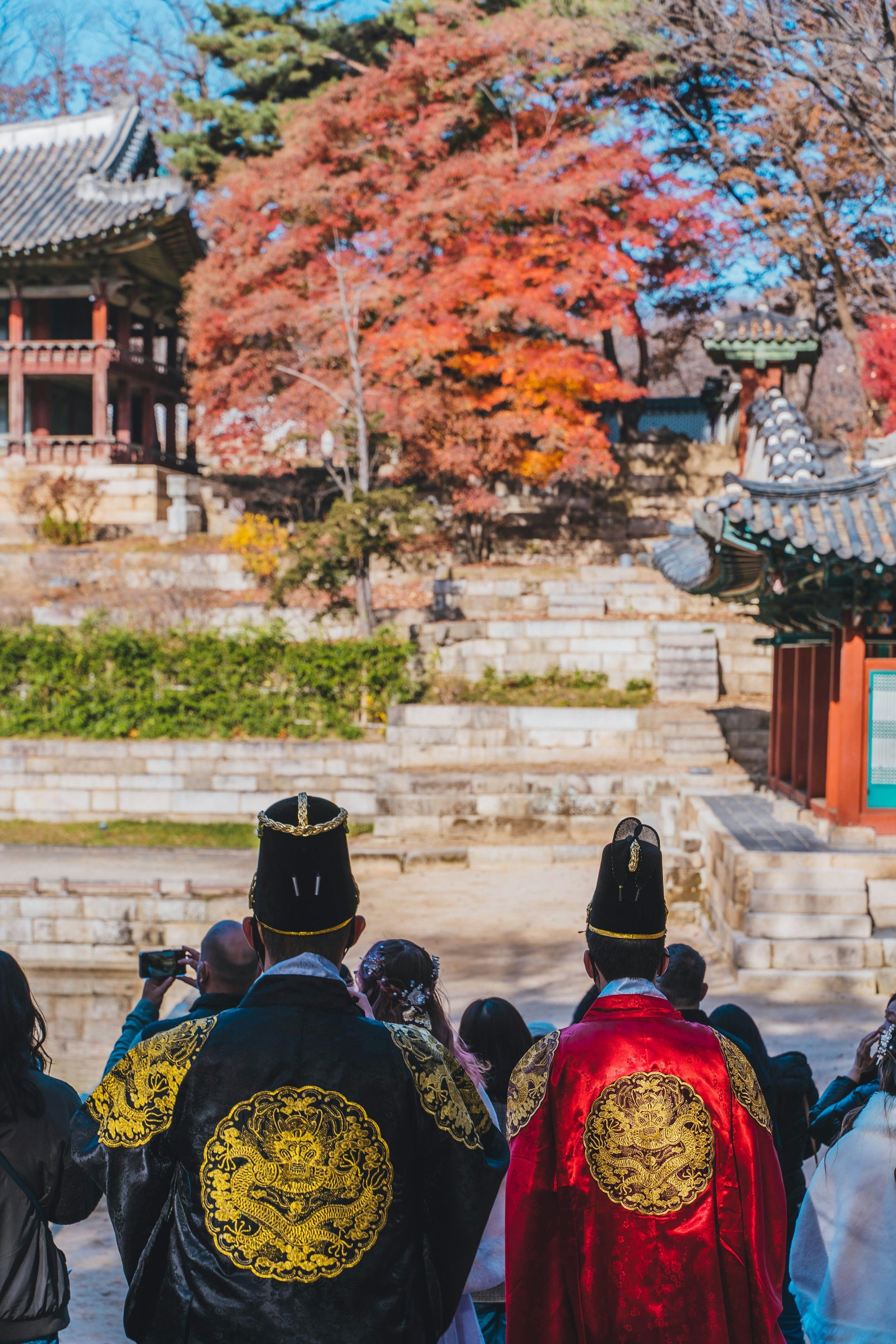 Rombongan berbusana tradisional Korea di halaman istana Seoul saat dedaunan berwarna merah.