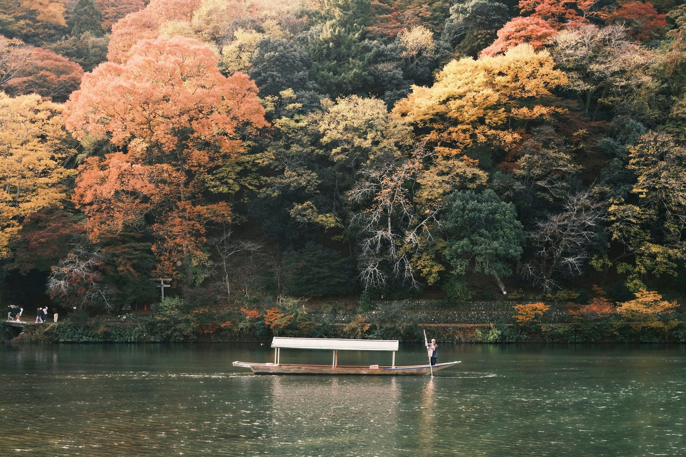 Panorama: musim gugur di Jepang