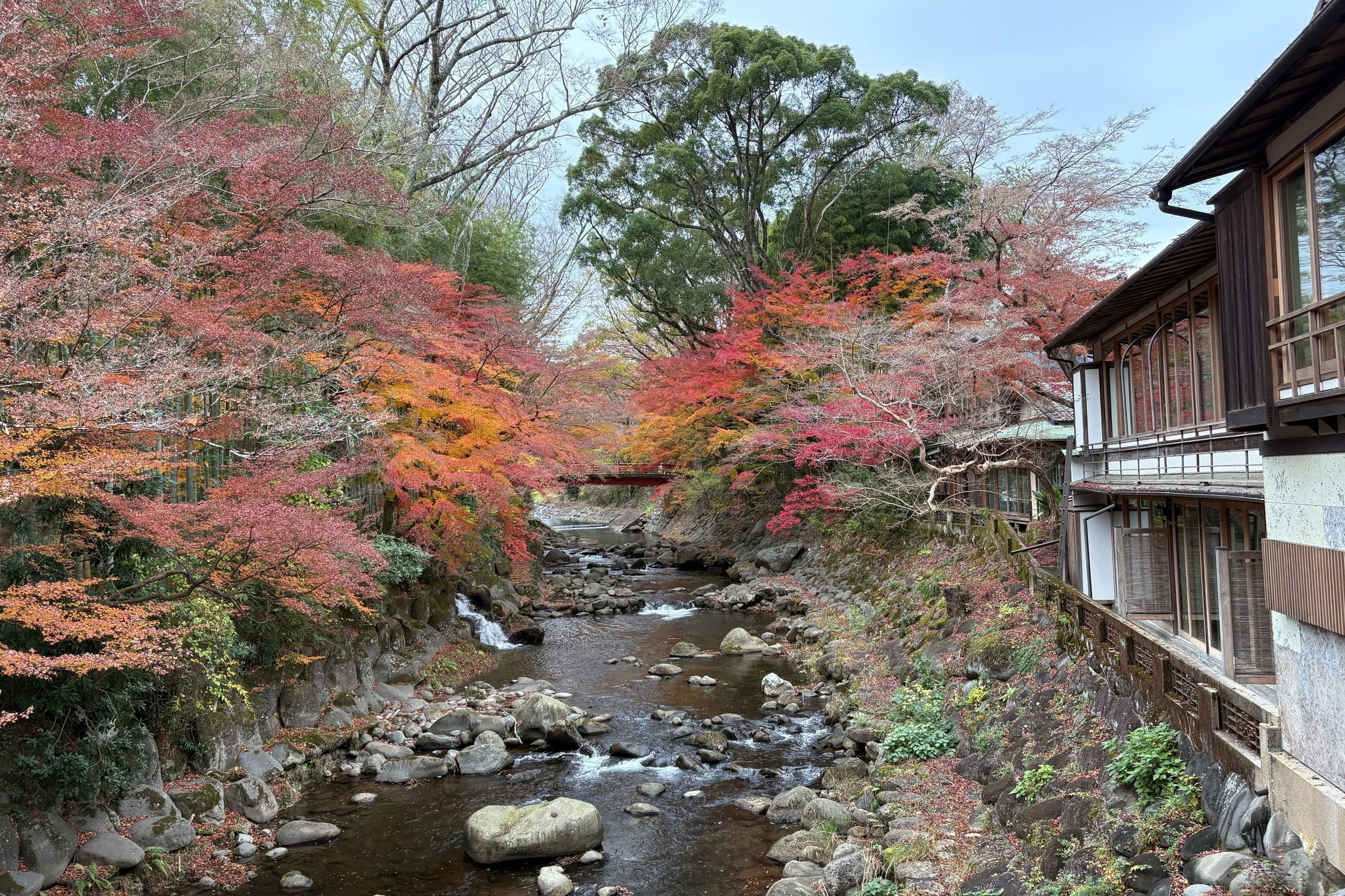 musim gugur di Jepang