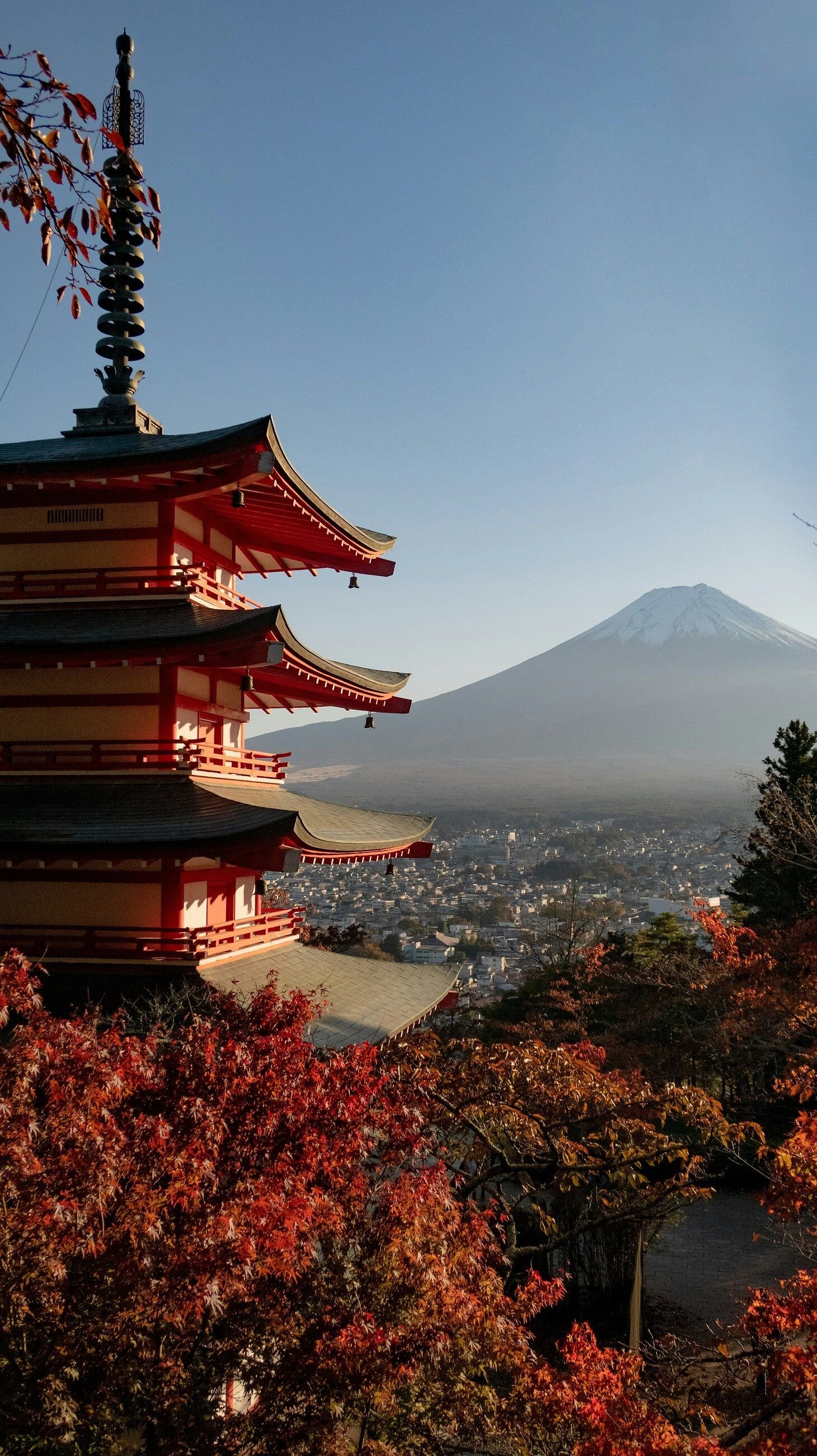 Pagoda Chureito, Gunung Fuji, dan maple merah musim gugur